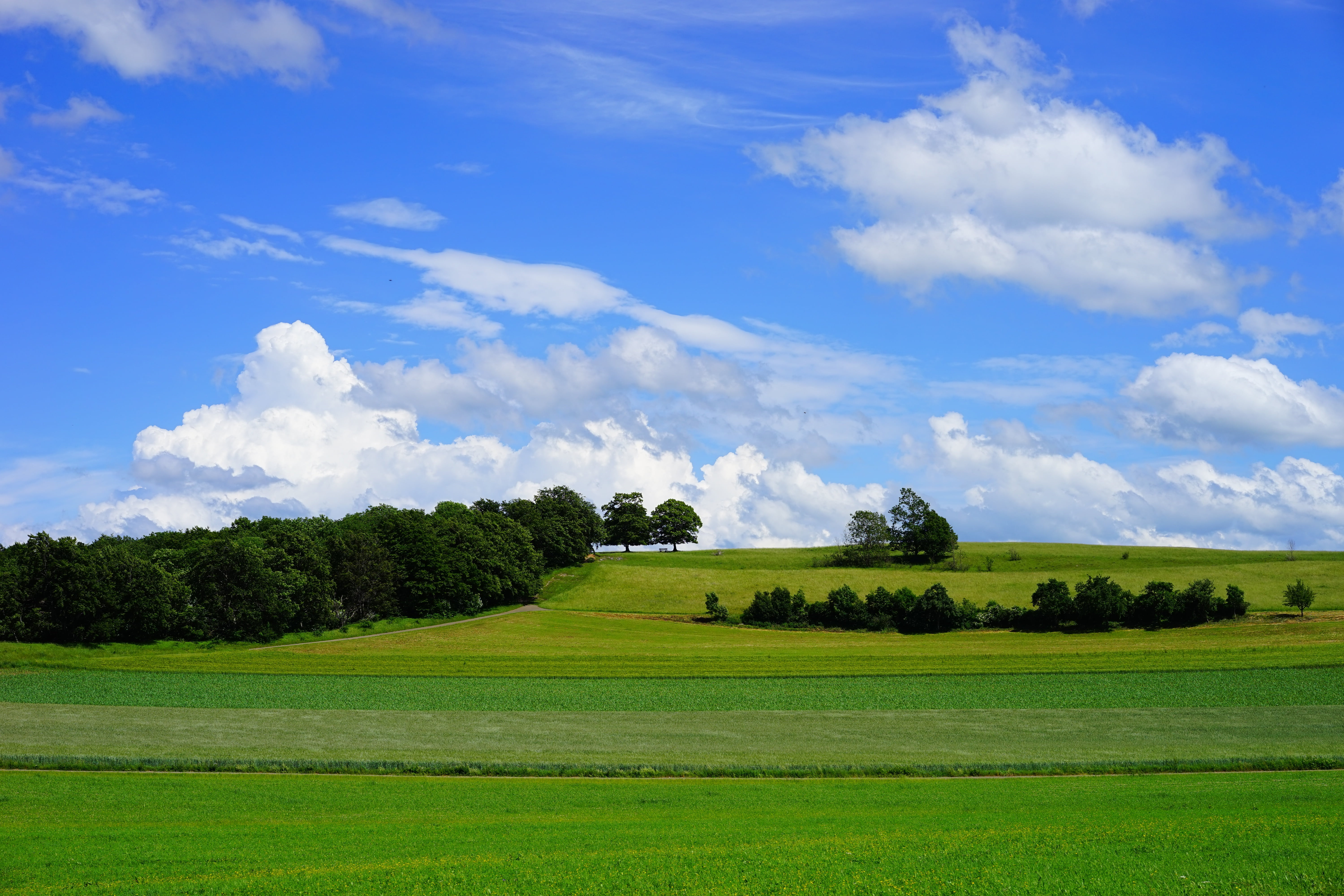sky, grass, day, swabian alb, environment, tranquil scene, tranquility, reported, cereals, agriculture, non-urban scene, scenics - nature, field, land, HD Wallpaper