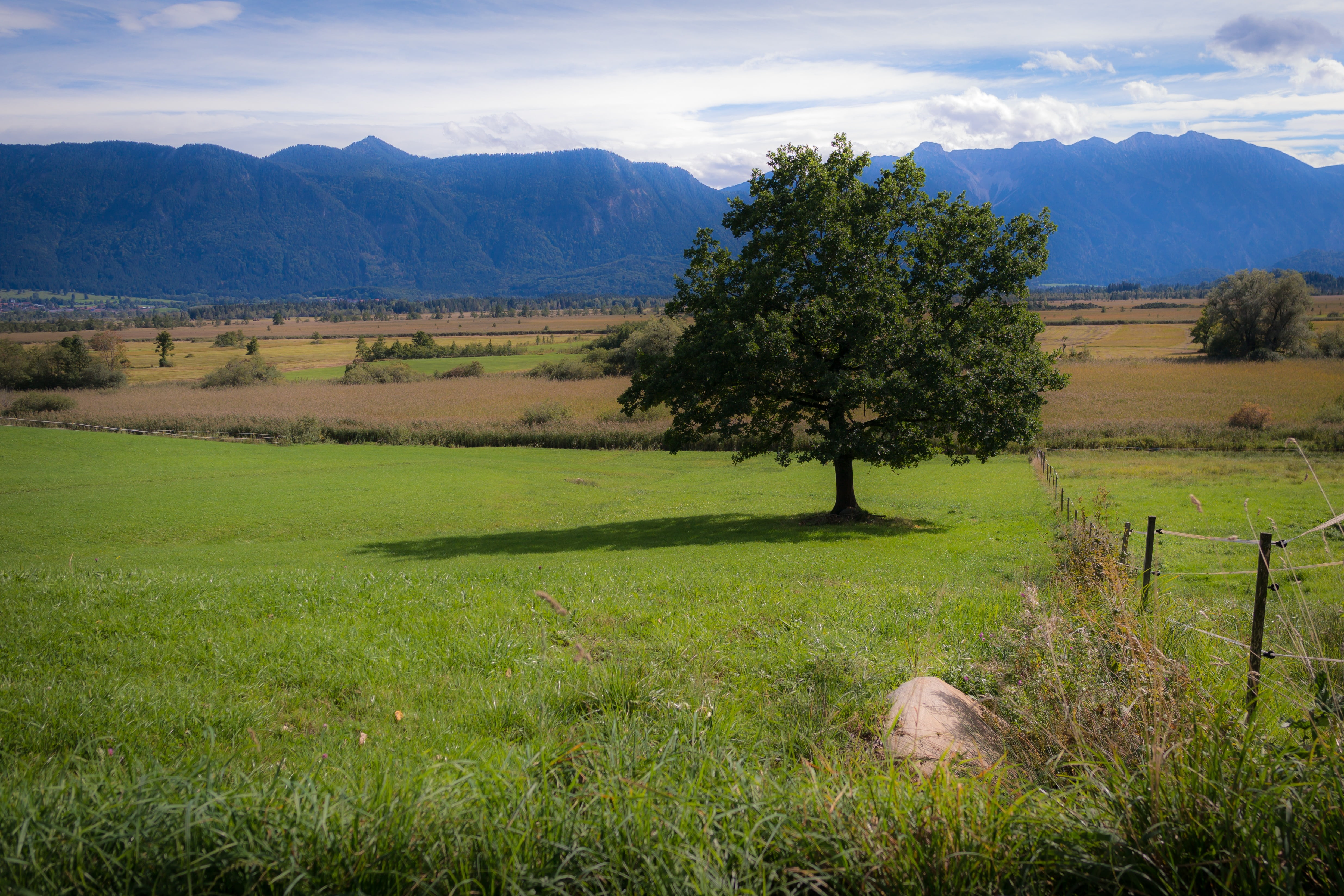 sky, tree, moor, no people, cloud - sky, tranquility, lonely, mountains, day, alone, ester mountains, alpine, rural scene, tranquil scene, semi-arid, moss, HD Wallpaper