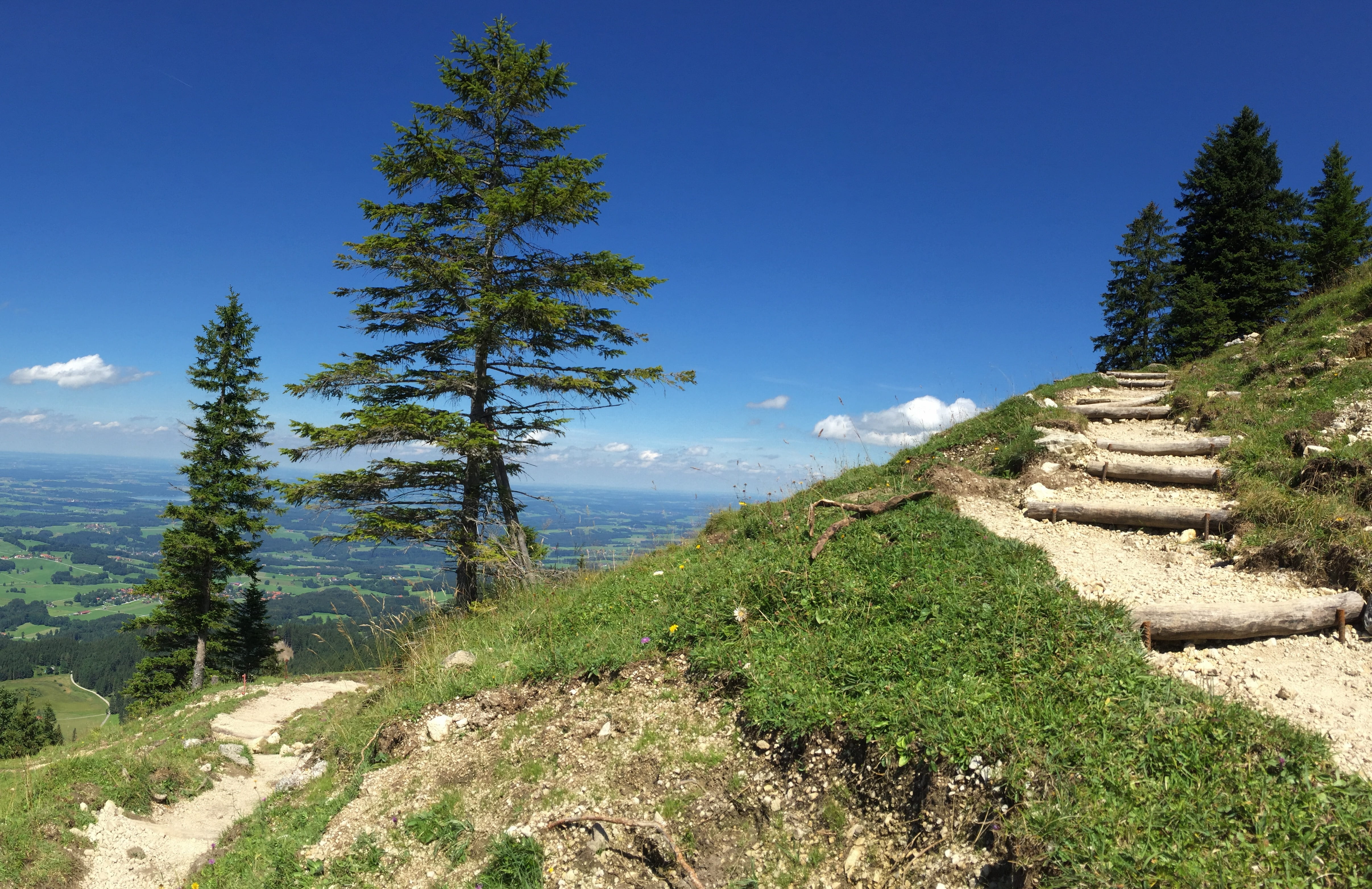 tranquil scene, alpine, plant, away, 4K, coniferous tree, tranquility, beauty in nature, view, mountains, pine tree, panorama, hiking, tree, blue, cloud - sky, HD Wallpaper