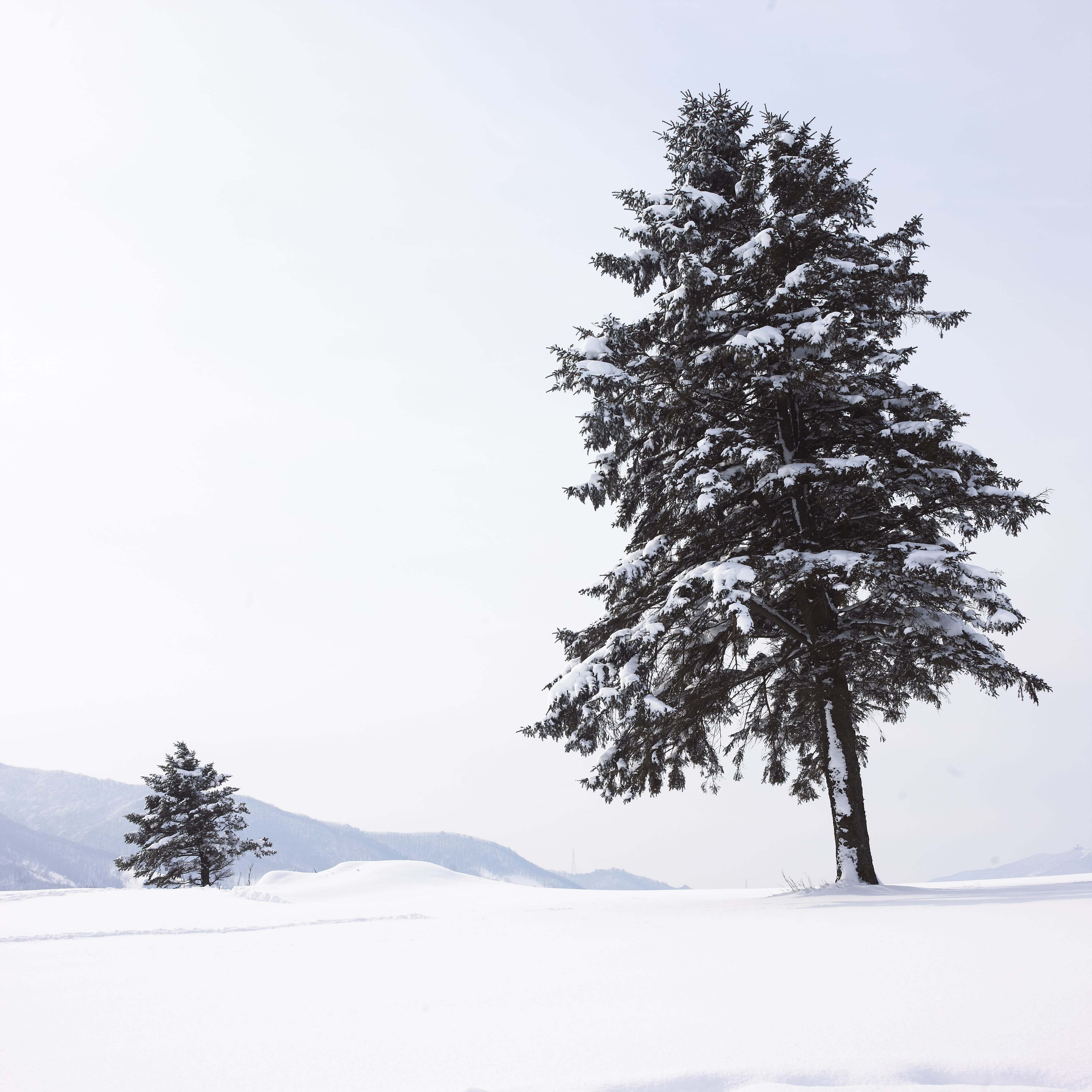 snowcapped mountain, beauty in nature, tranquil scene, tranquility, white color, snowing, cold temperature, scenics - nature, wood, narrative, landscape, Phone HD Wallpaper