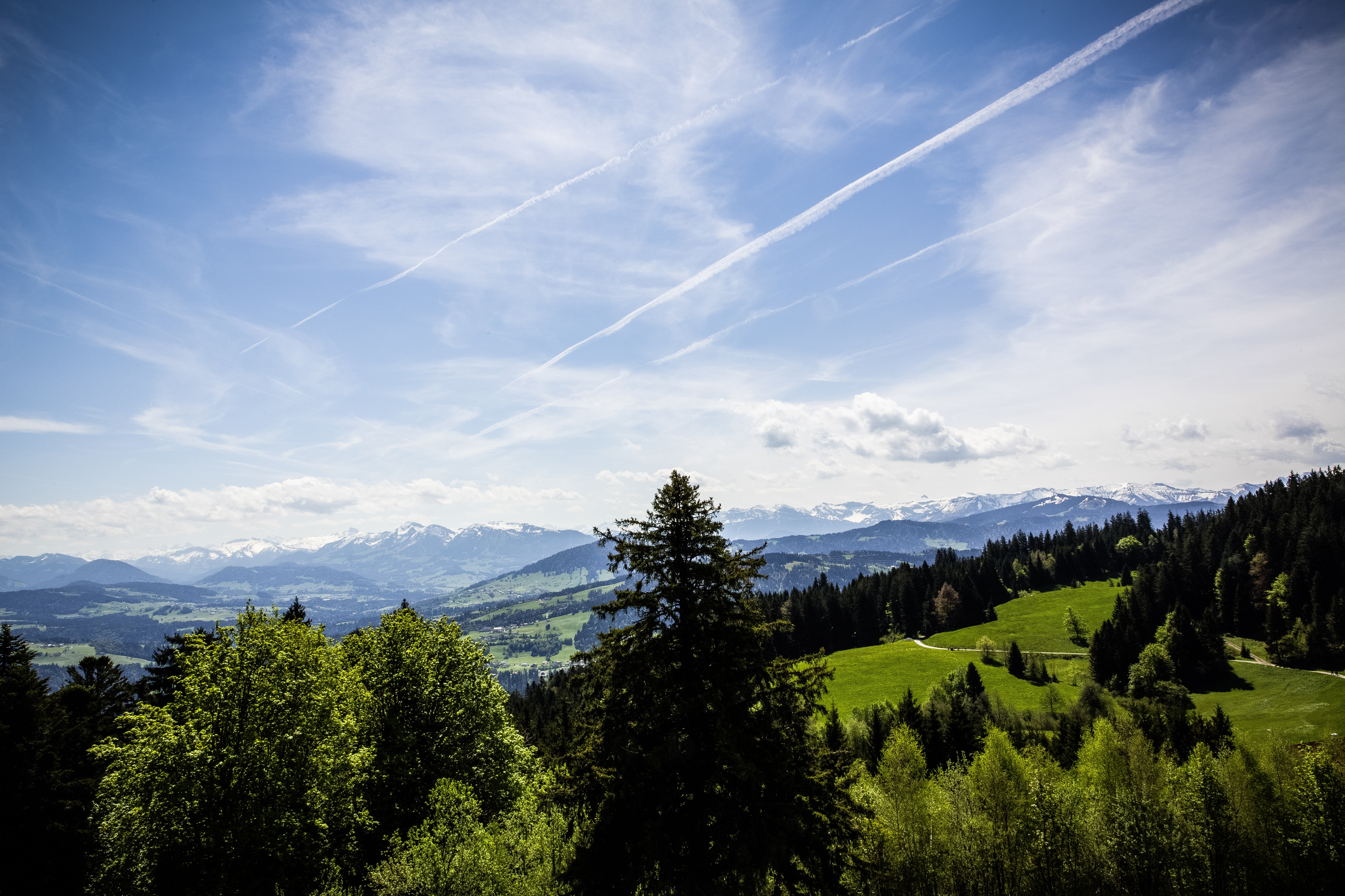 mountain range, landscape, pine woodland, view, plant, foresight, mountaineering, more, tranquility, land, no people, coniferous tree, places of interest, HD Wallpaper