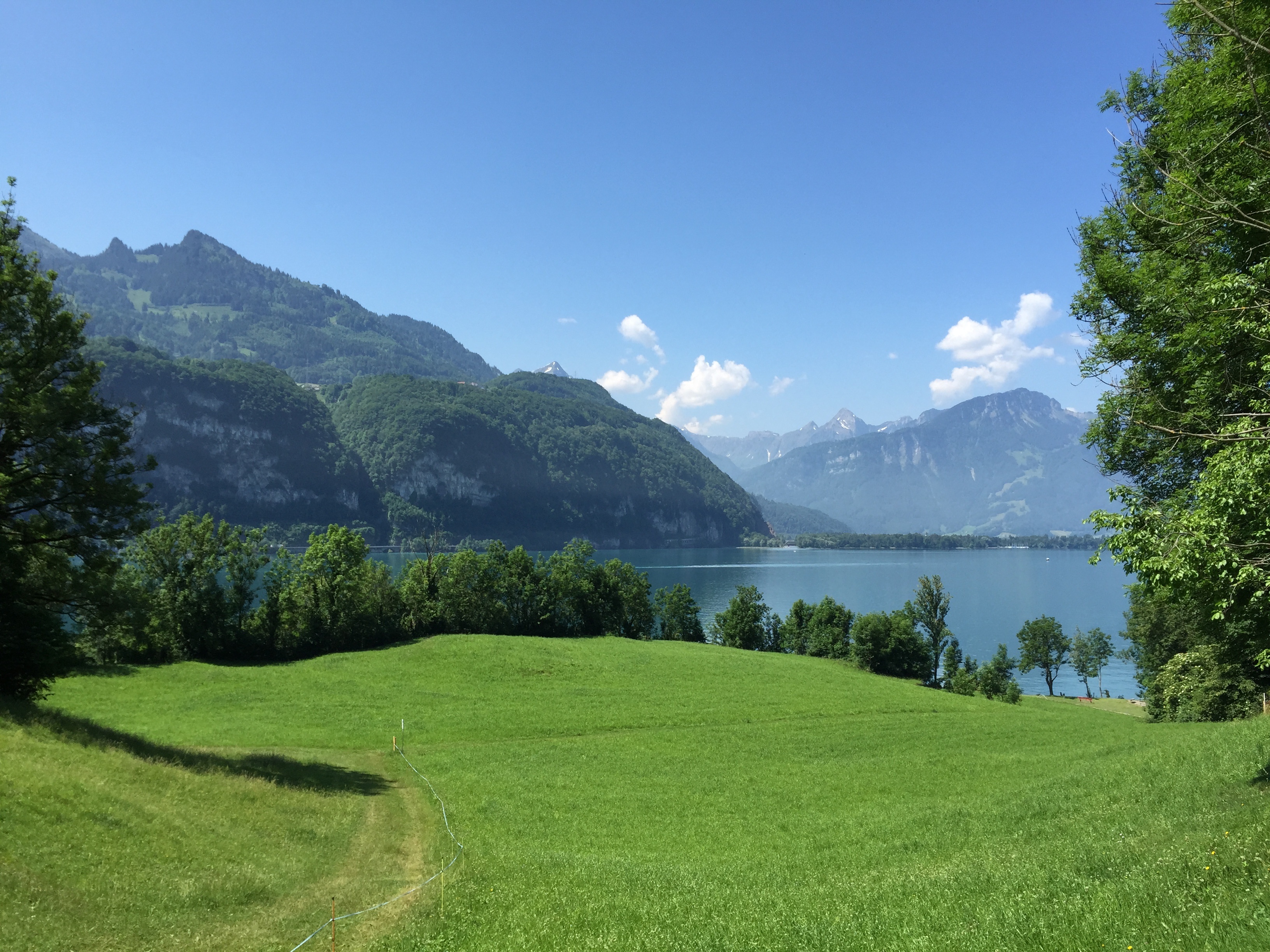 mountains, tranquility, growth, water, landscape, scenics - nature, green color, nature, grass, tranquil scene, foresight, non-urban scene, distant view, HD Wallpaper