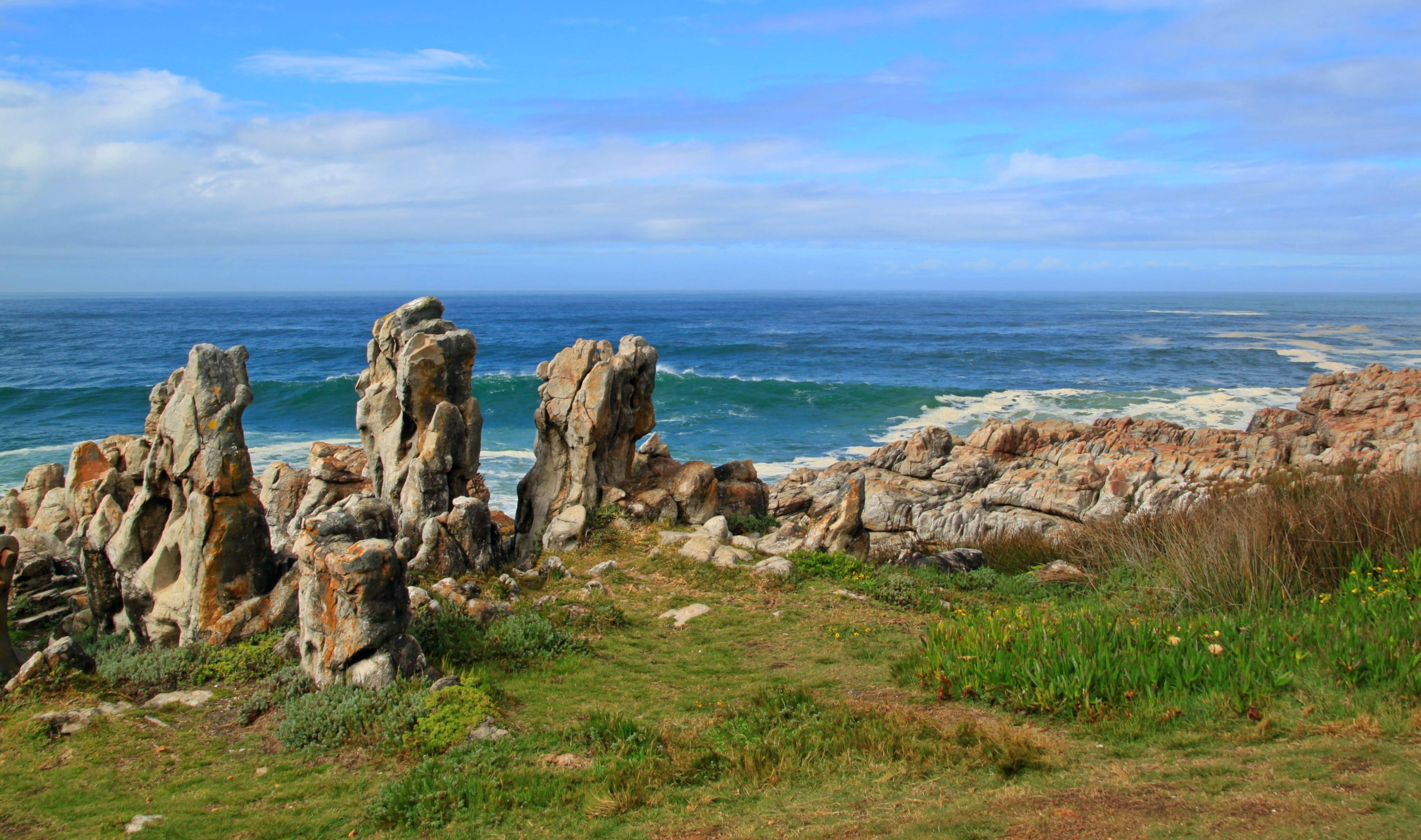 steinig, plant, day, land, scenics, no people, beach, South Africa, rocks, horizon over water, scenics - nature, grass, outdoors, stone, view, Coast, cliff, HD Wallpaper