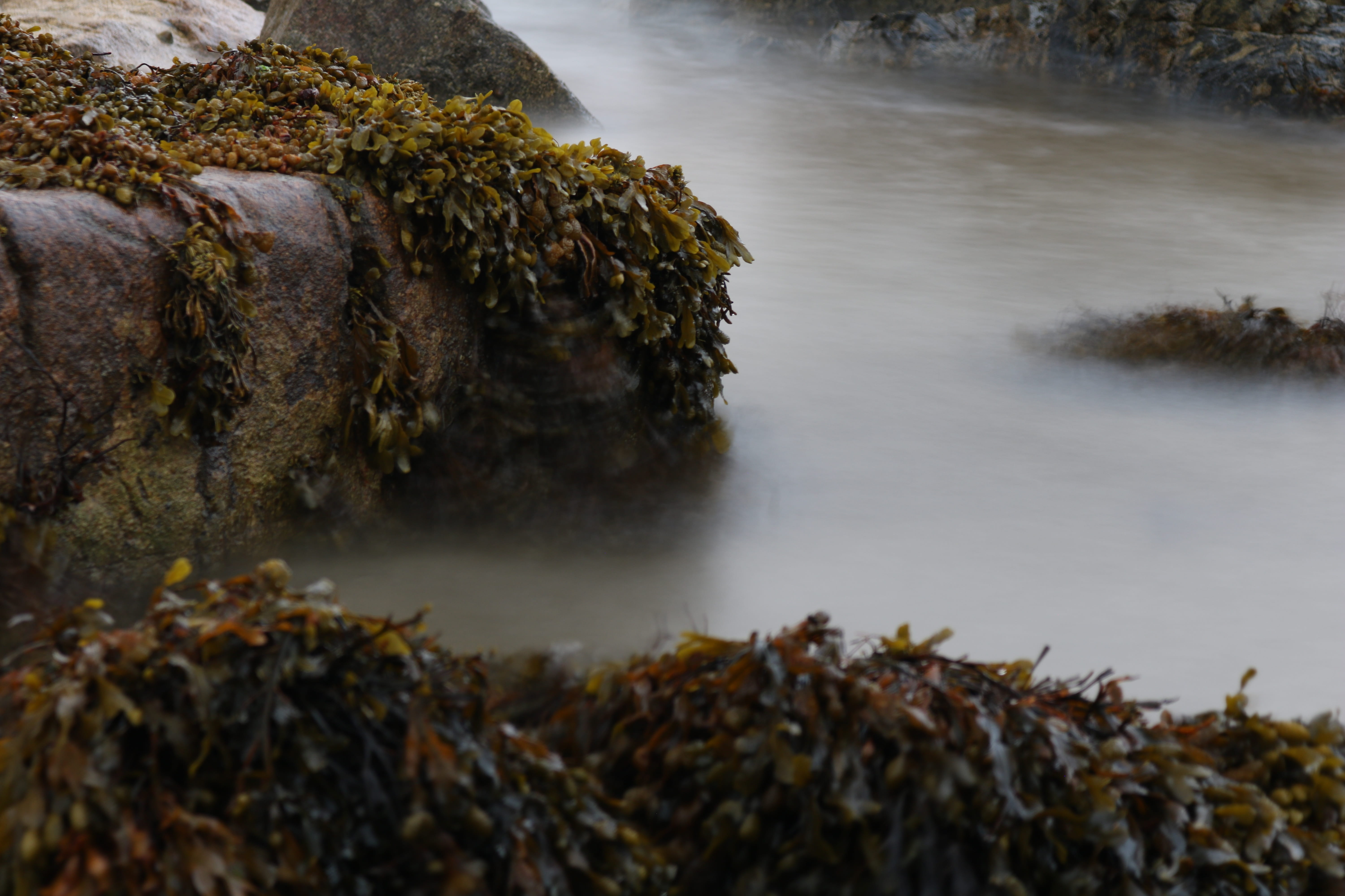 ocean, surf, tranquility, steinig, rock - object, rock, scenics - nature, day, water, flowing, land, 5K, ireland, beauty in nature, plant, moss, flowing water, HD Wallpaper