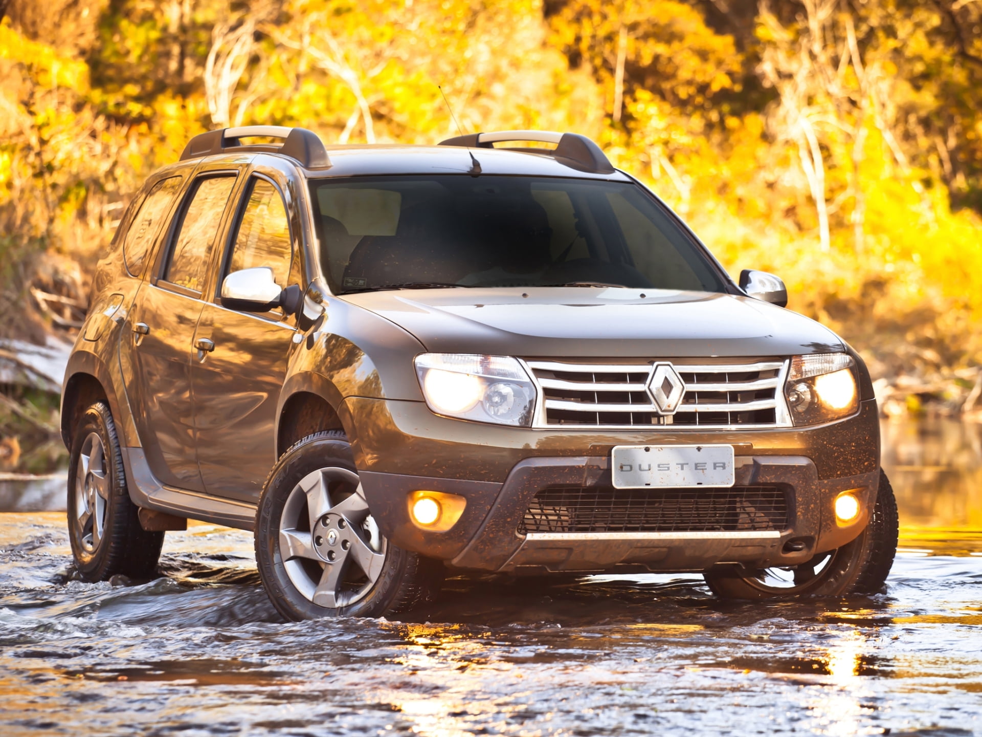 forest, water, outdoors, shiny, 4x4, mode of transportation, suv, off-Road Vehicle, autumn, modern, Ford, stream, motor Vehicle, the front, tree, nature, HD Wallpaper