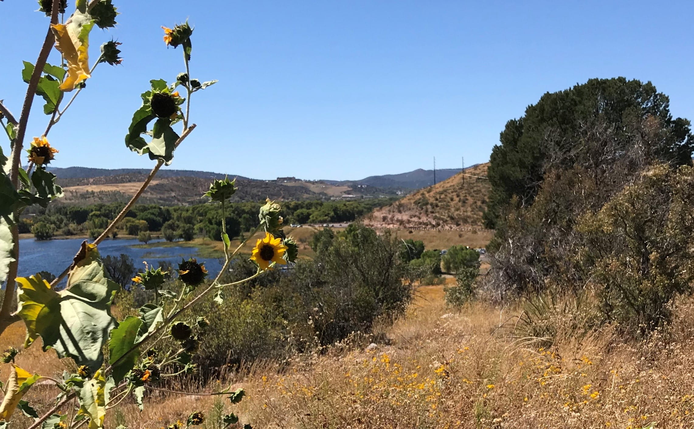 outdoors, day, scenery, 1080P, no people, mountain, plant, watson lake, arizona, tranquil scene, sky, flowering plant, lake, non-urban scene, water, landscape, HD Wallpaper
