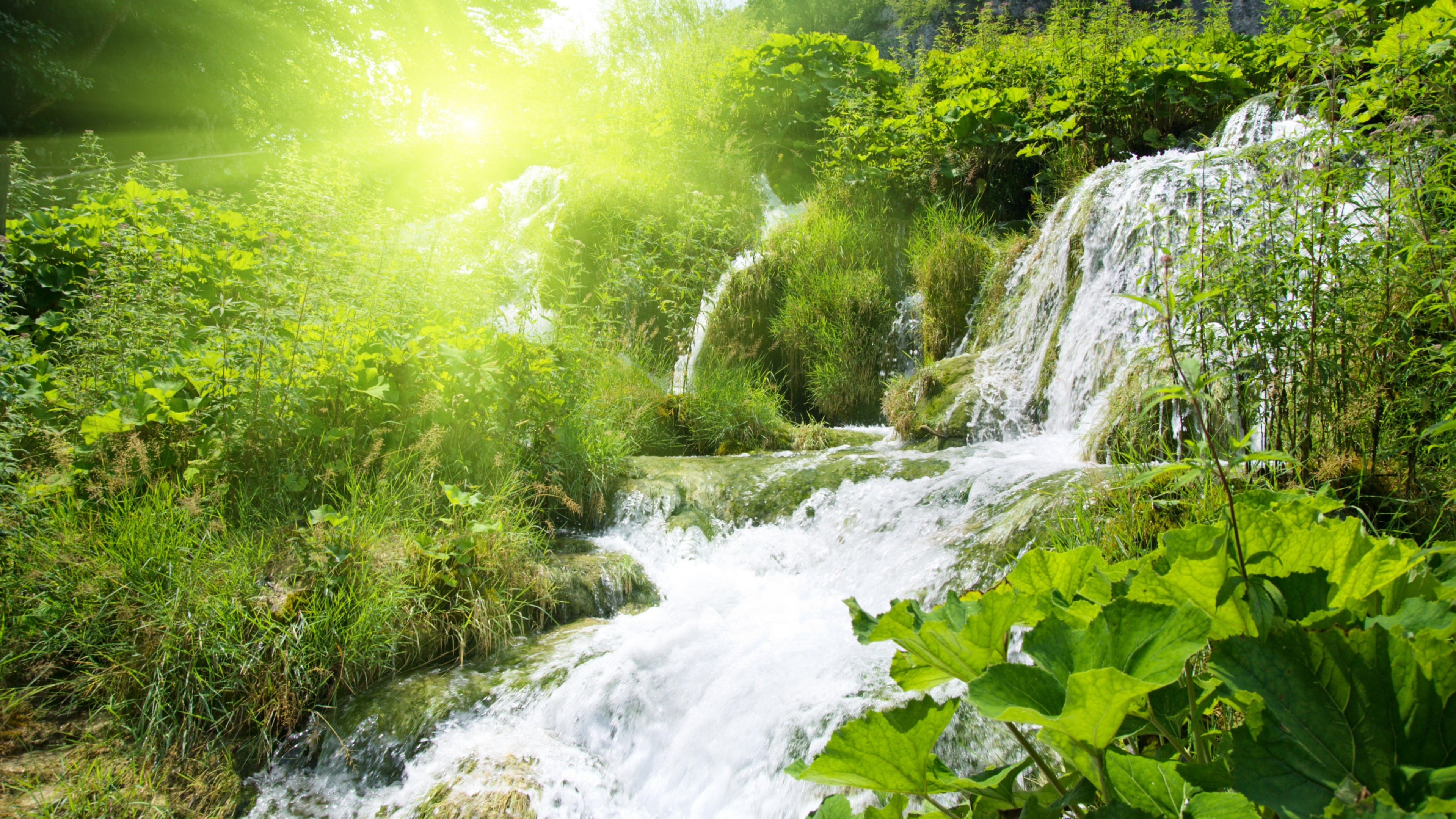 water, sun ray, no people, green color, flowing, plant, lush foliage, scenics - nature, sunbeam, sunlight, 4K, body of water, falling water, forest, rays, HD Wallpaper