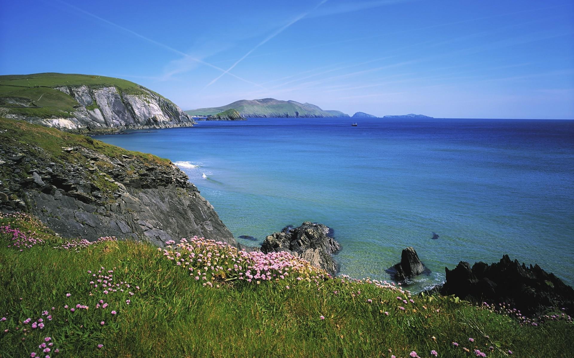 island, islands, blasket, 1080P, grass, europe, beaches, green, ireland, seashore, near, 1920x1200, HD Wallpaper