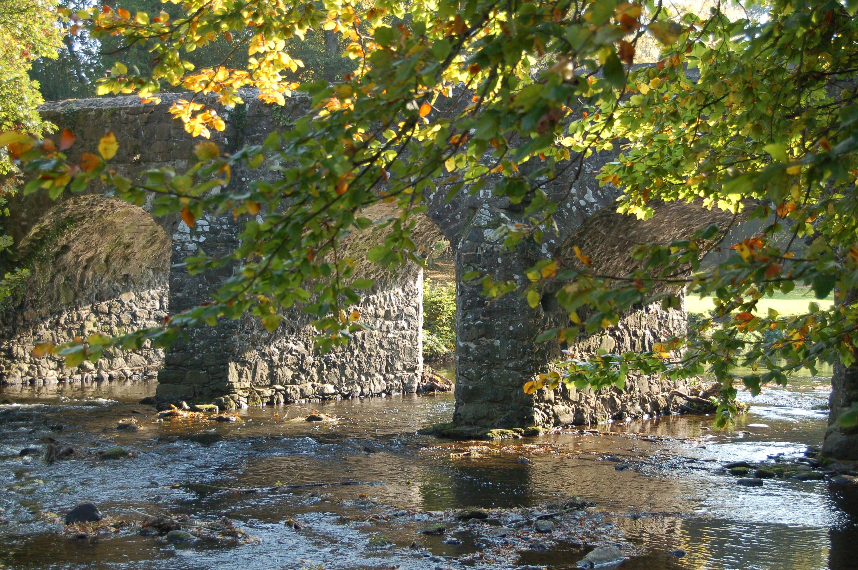antrim, plant, no people, solid, rock, castle, river, nature, outdoors, history, flowing water, grounds, 2K, tree, ancient, day, beauty in nature, architecture, HD Wallpaper