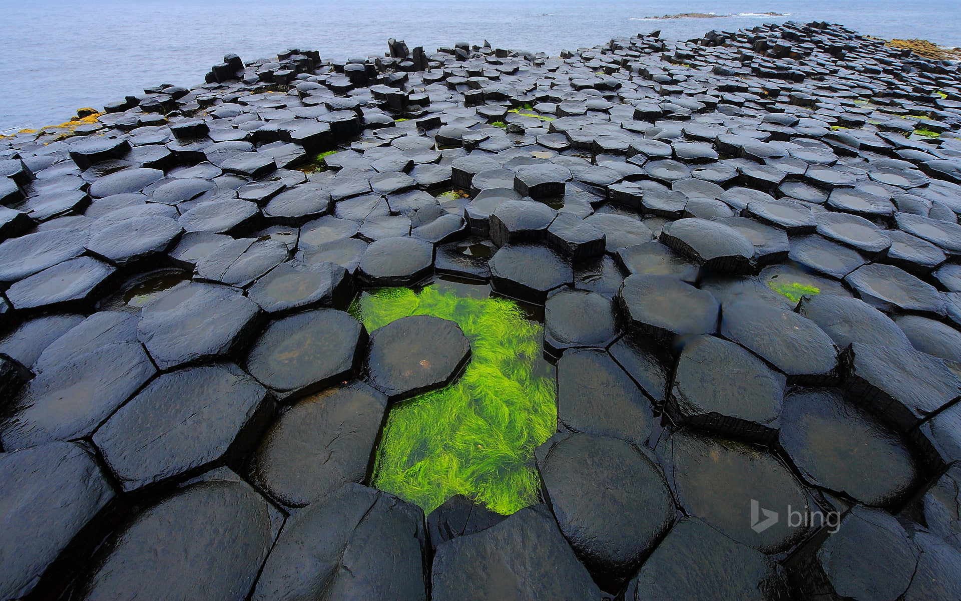 Northern Ireland, 1080P, Antrim, sea, dam, algae, HD Wallpaper