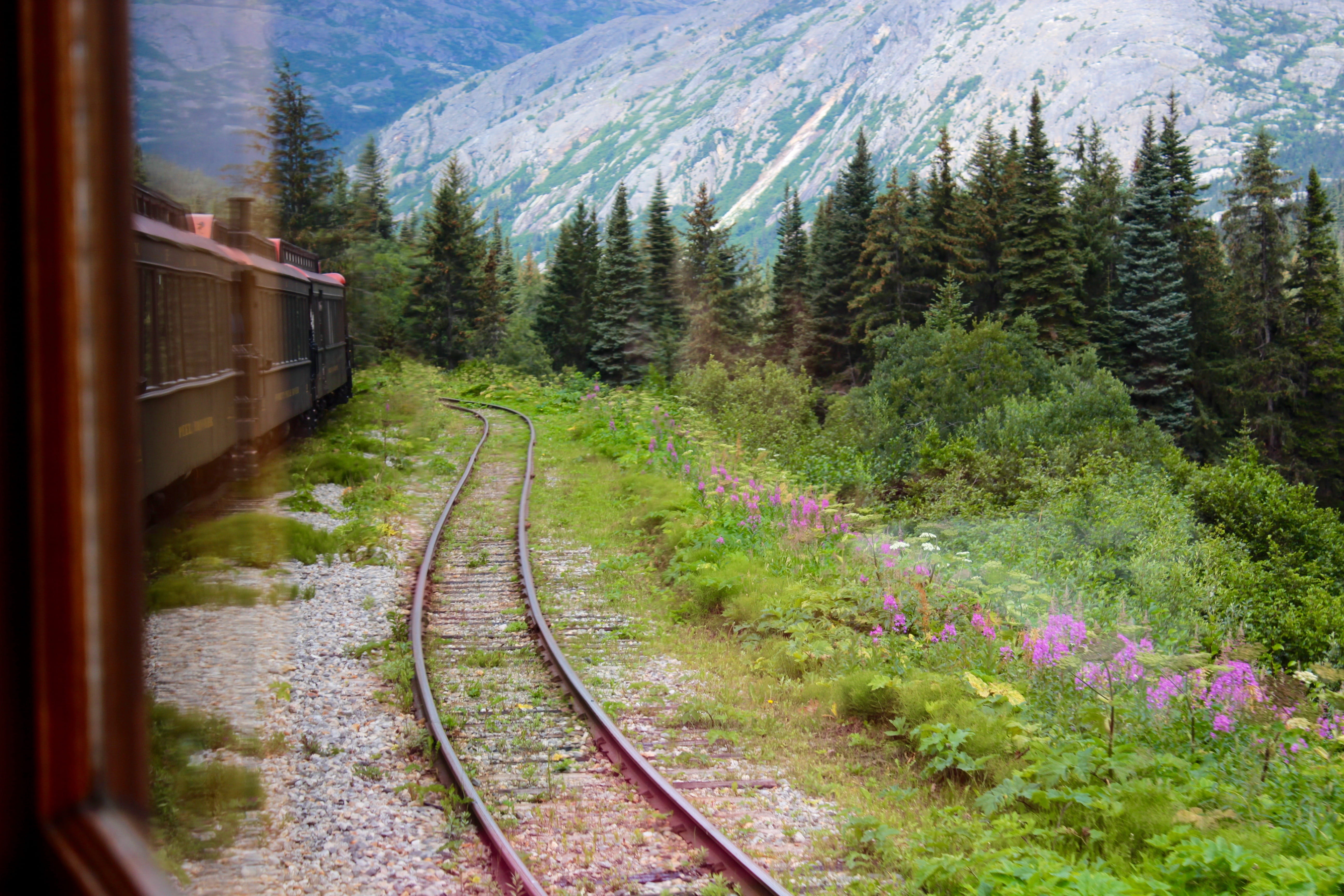 travel, track, day, grass, outdoors, railroad track, spruce trees, alaska, train track, train, no people, plant, rail transportation, nature, mountain, HD Wallpaper