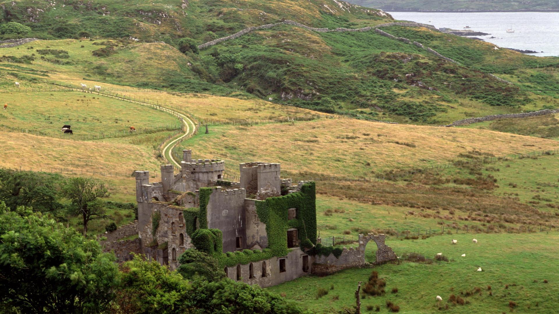 castle, clifden, galway, irel, trees, meadow, hills, 1080P, nature and landscapes, county, HD Wallpaper