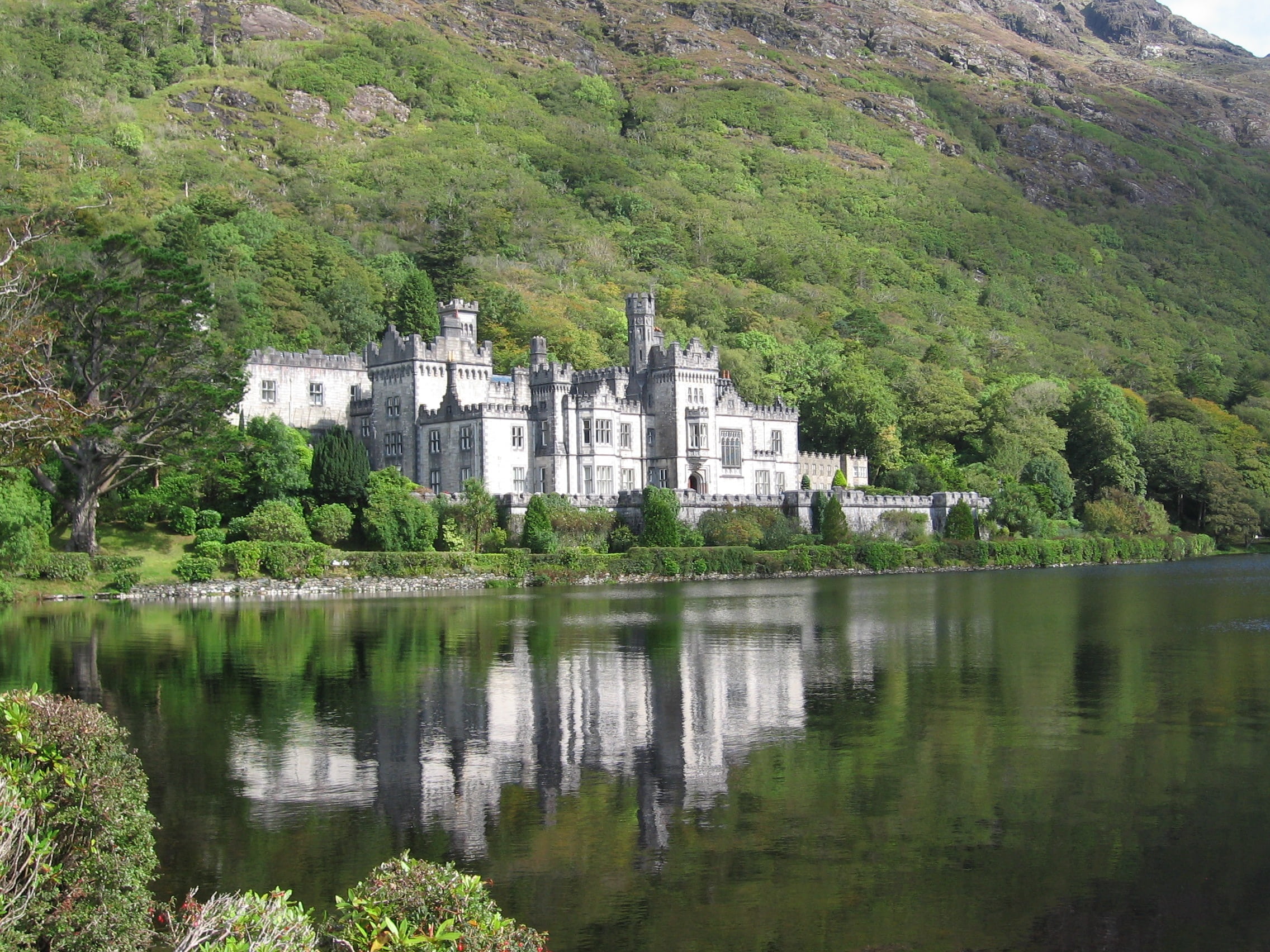 county galway, mountain, architecture, tree, reflection, built structure, ireland, plant, body, near, 1080P, growth, green color, castle, day, no people, HD Wallpaper