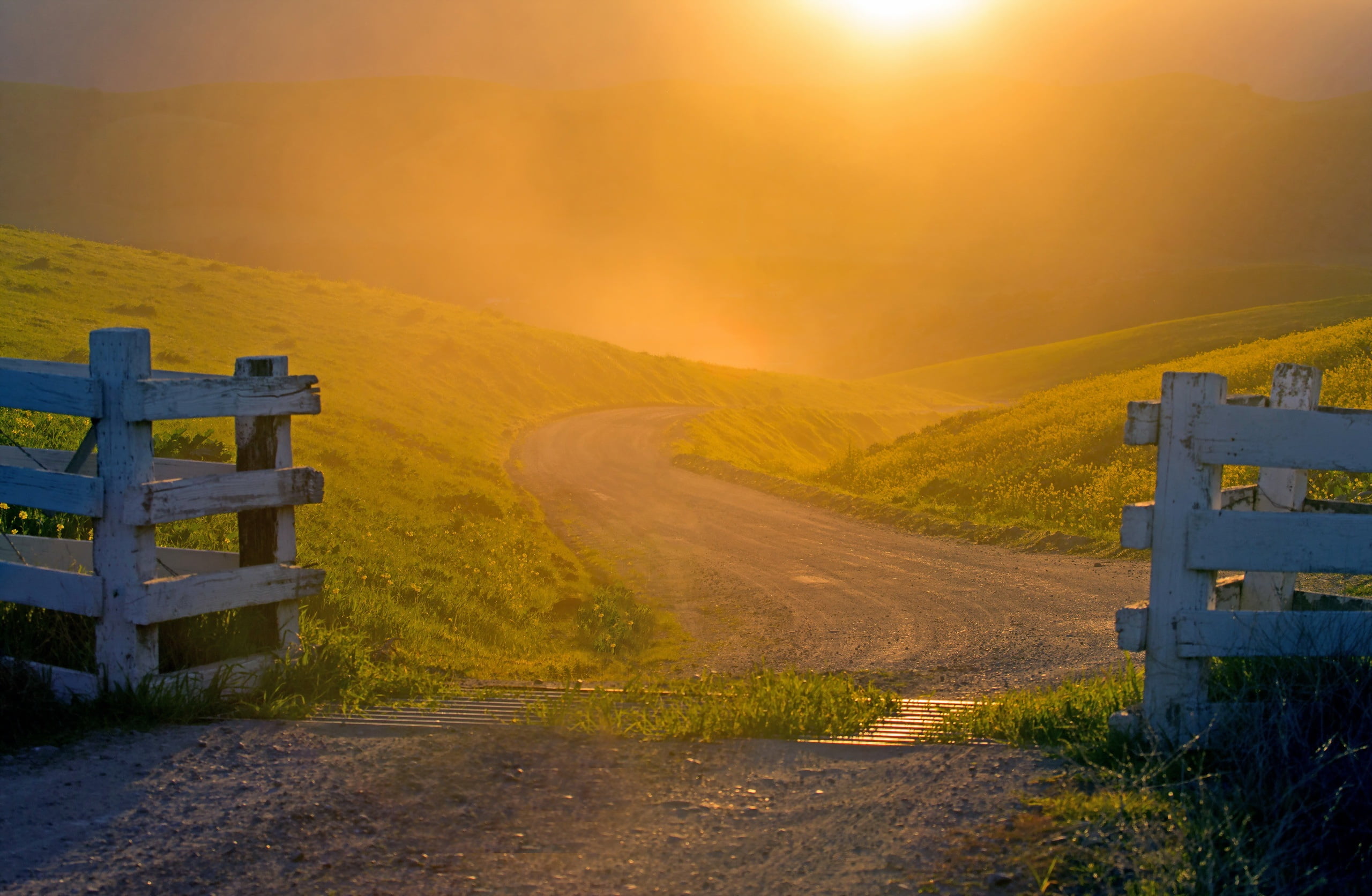 sunlight, grass, 2K, tranquility, beauty in nature, fence, outdoors, nature, the way forward, dirt road, tranquil scene, direction, land, orange color, HD Wallpaper