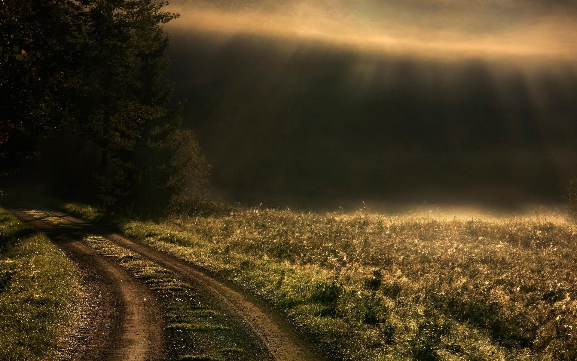 sun rays, landscape, road, tranquil scene, tranquility, outdoors, tree, plant, path, diminishing perspective, transportation, grass, nature, non-urban scene, HD Wallpaper
