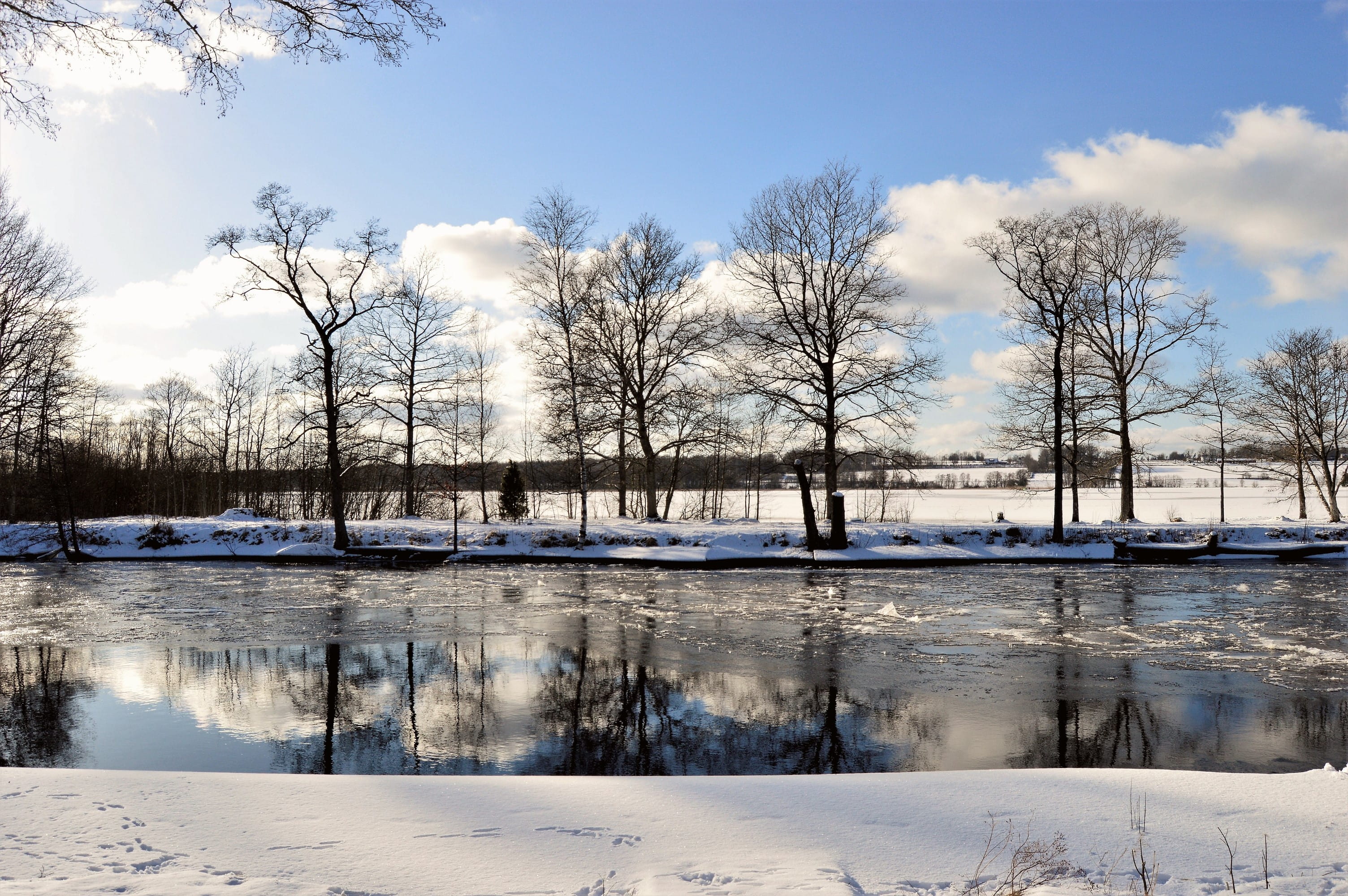 winter, outdoors, plant, lake, no people, beauty in nature, lagan, forest, osudden, river, scenics - nature, ice, blue, 2K, reflection, sky, sweden, cloud - sky, HD Wallpaper