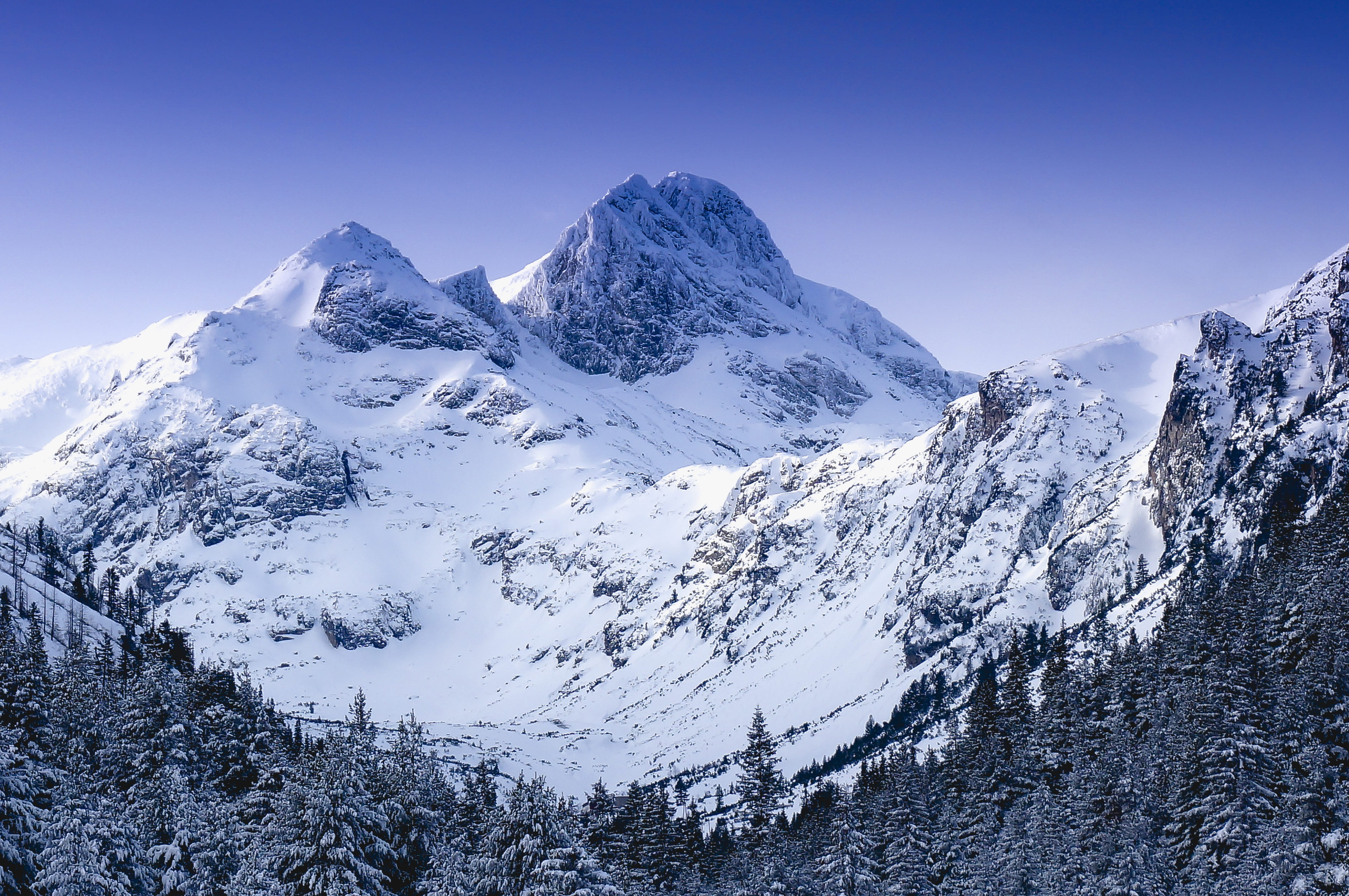 cold temperature, snowcapped mountain, white color, extreme weather, scenics - nature, pine tree, mirrorless, sunrise, sky, winter, tranquil scene, mountain range, HD Wallpaper