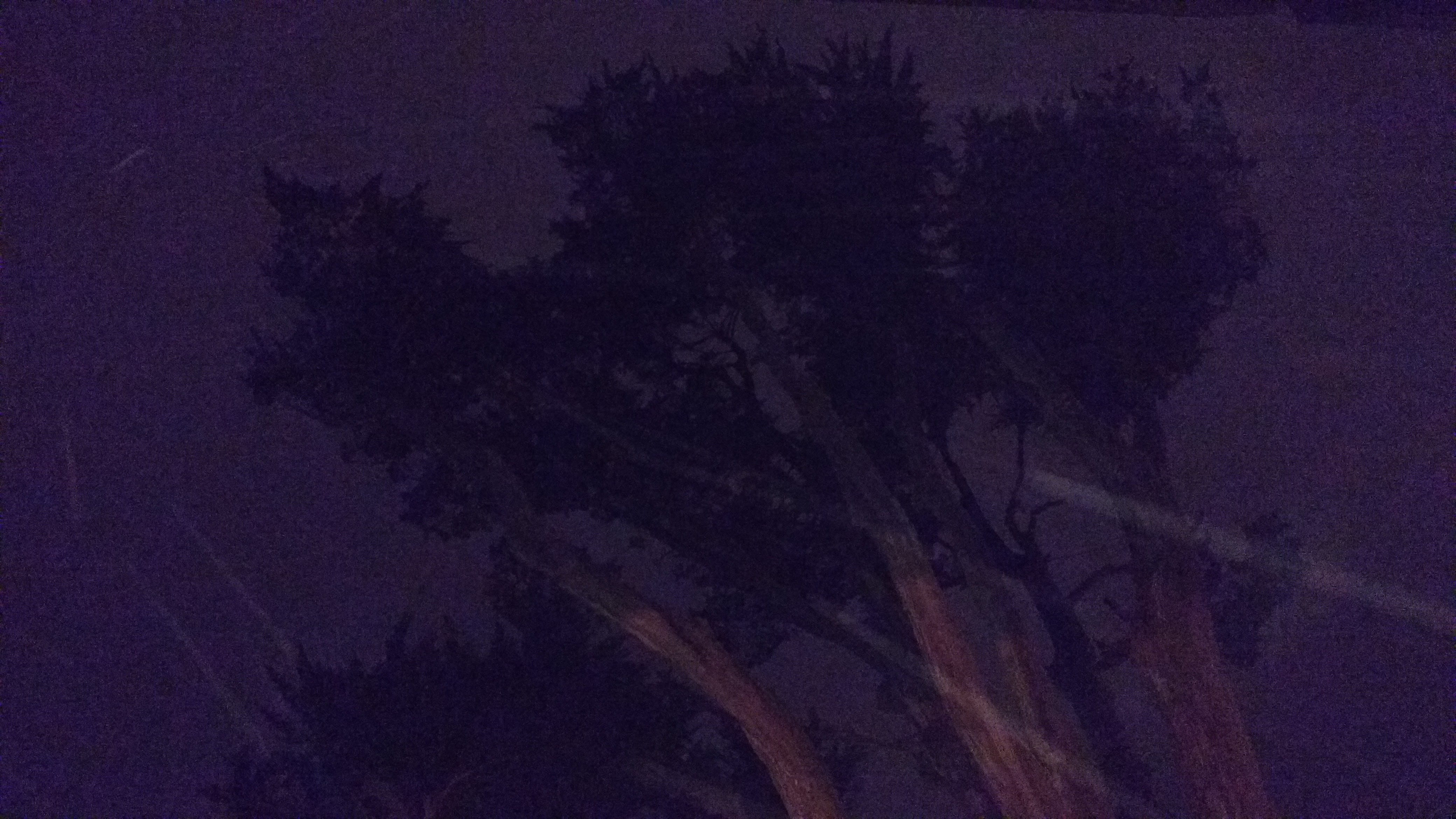 purple, plant, tranquility, growth, sky, tree, low angle view, night, nature, no people, backgrounds, ireland, scenics - nature, beauty in nature, old, HD Wallpaper