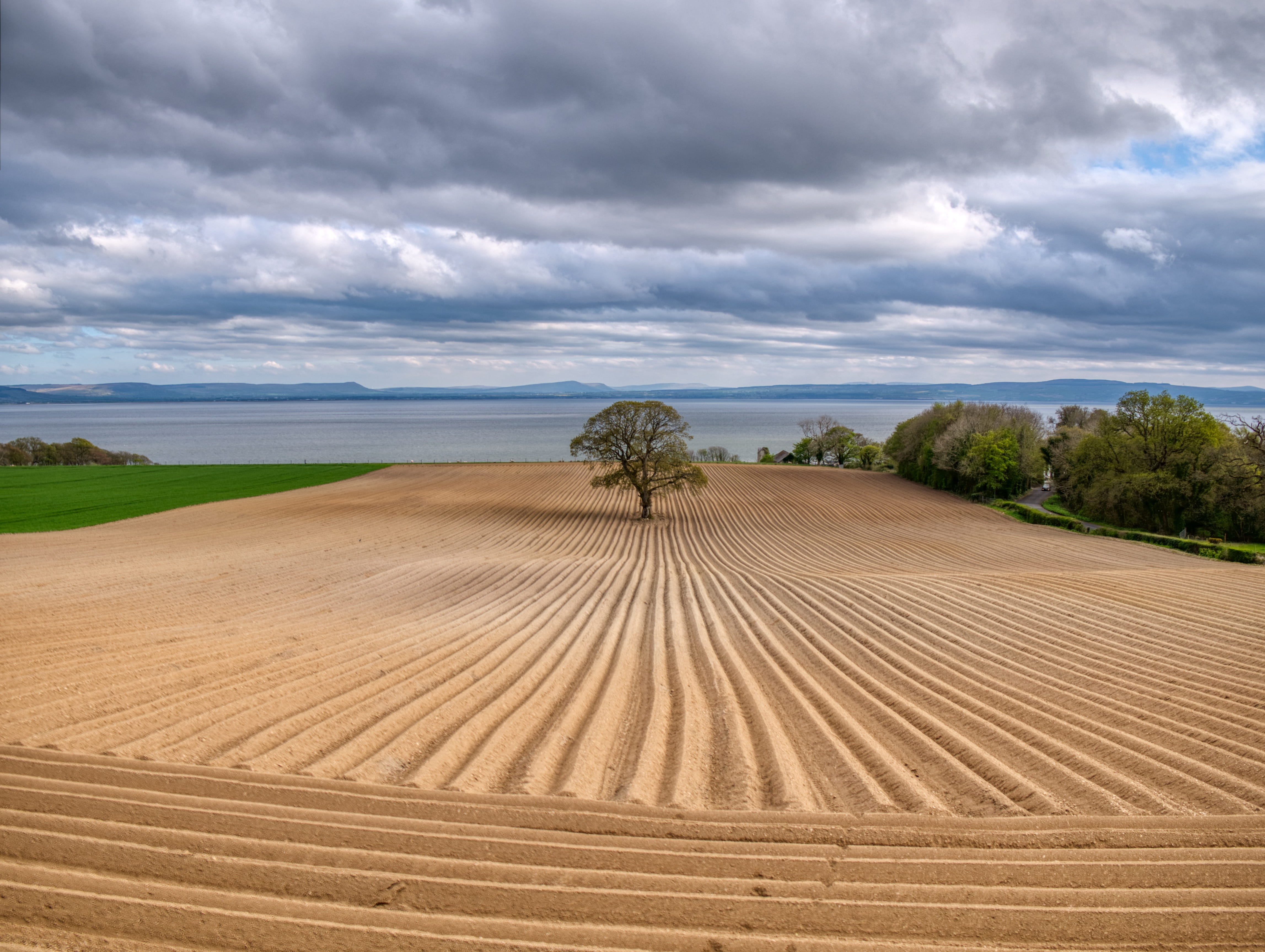 land, tranquility, soil, day, countryside, plant, arid climate, wilderness, environment, landscape, redcastle, ireland, beauty in nature, tranquil scene, HD Wallpaper