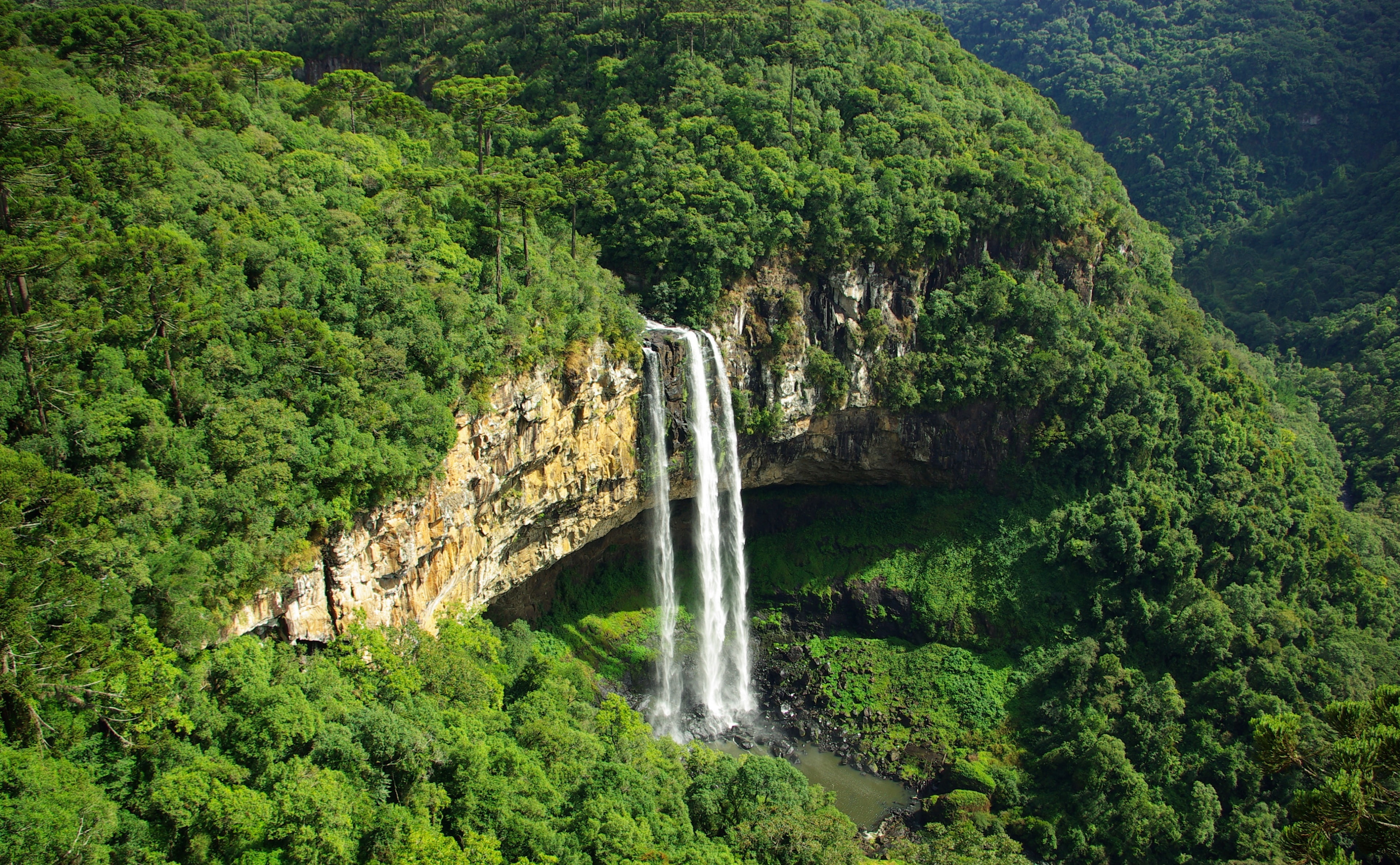 leaf, no people, water, scenics - nature, flowing, beauty in nature, growth, rainforest, South America, non-urban scene, cascata do caracol, caracol, plant, HD Wallpaper