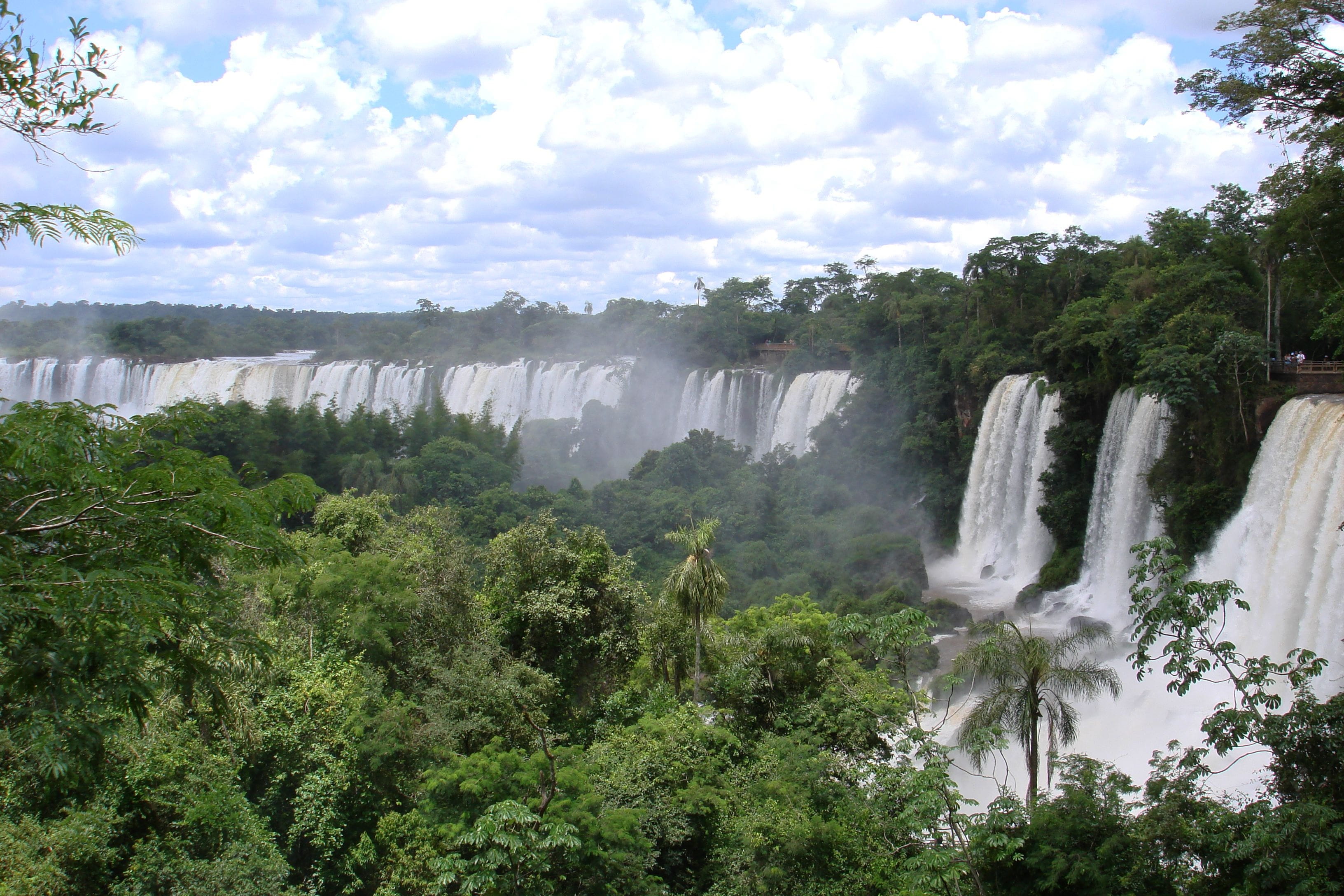 tree, impressive, motion, environment, long exposure, rainforest, outdoors, 2K, cataratas, iguaçu, landscape, flowing, growth, unesco world heritage, day, HD Wallpaper