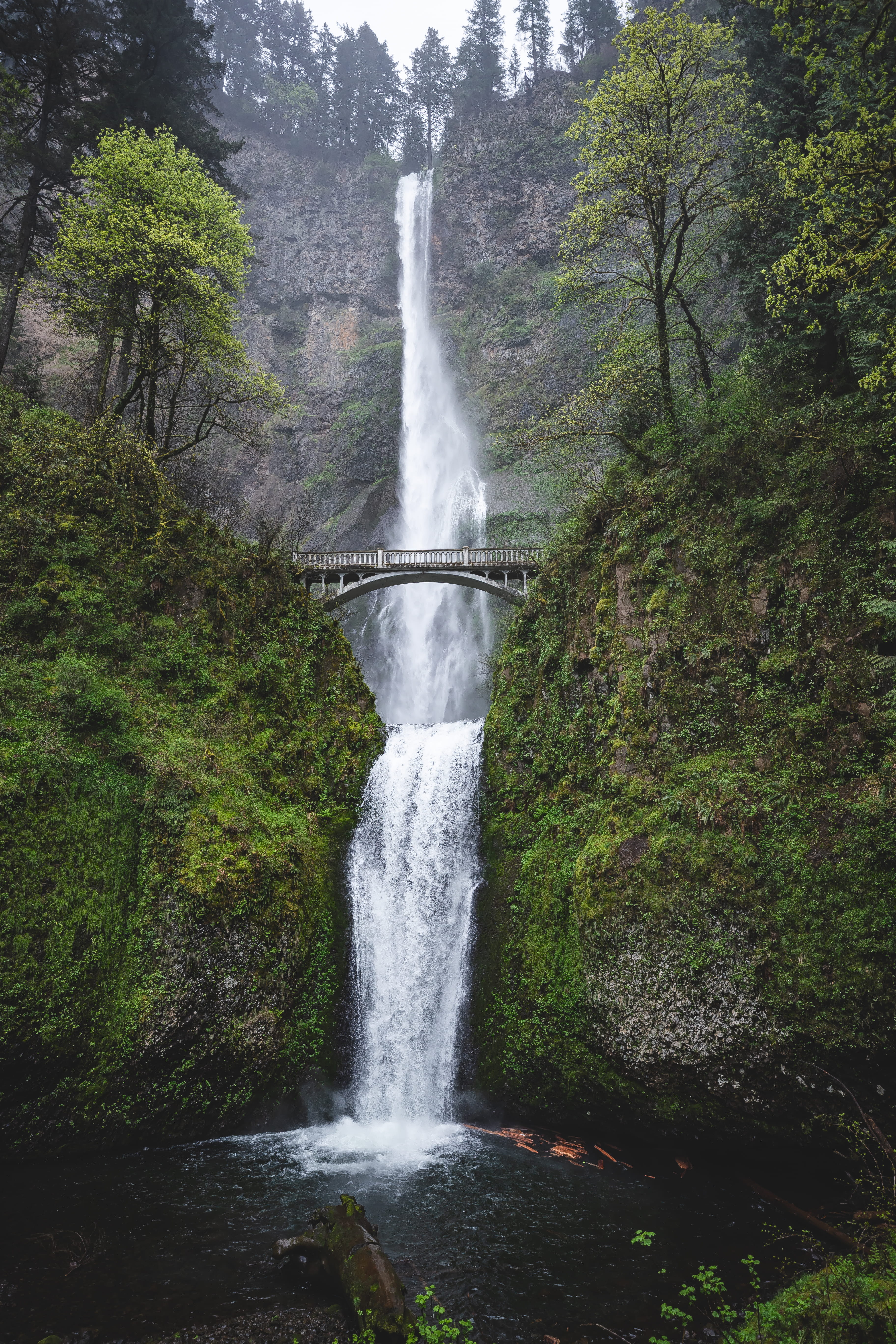 adventure, trees, landscape, environment, travel, lake, plant, bridge, outdoors, forest, natural, green, multnomah falls, mountain, rock, river, motion, Phone HD Wallpaper