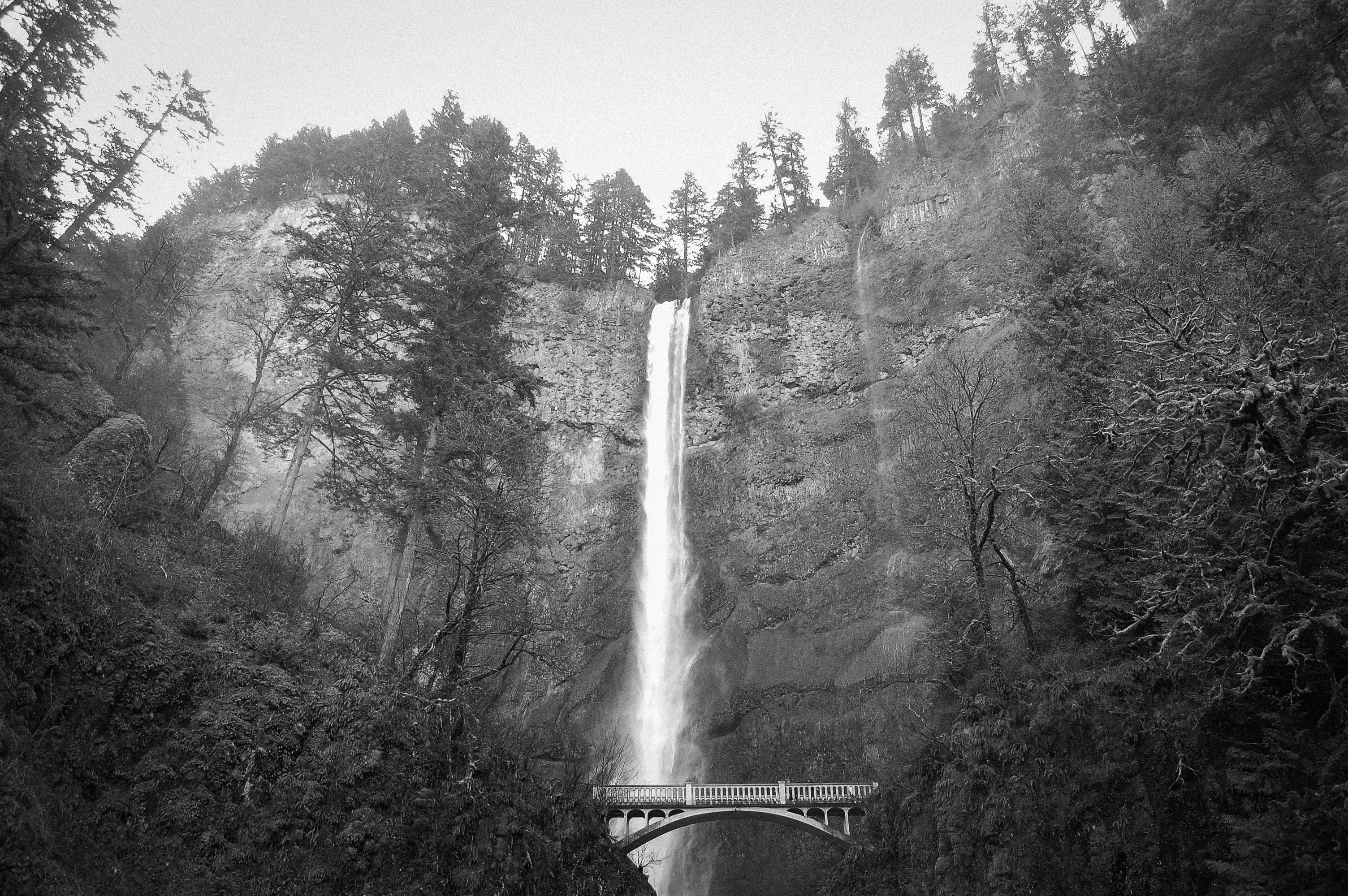 scenics - nature, mountain, plant, no people, tree, day, 2K, nature, oregon, trees, portland, motion, non-urban scene, water, multnomah falls, united states, HD Wallpaper