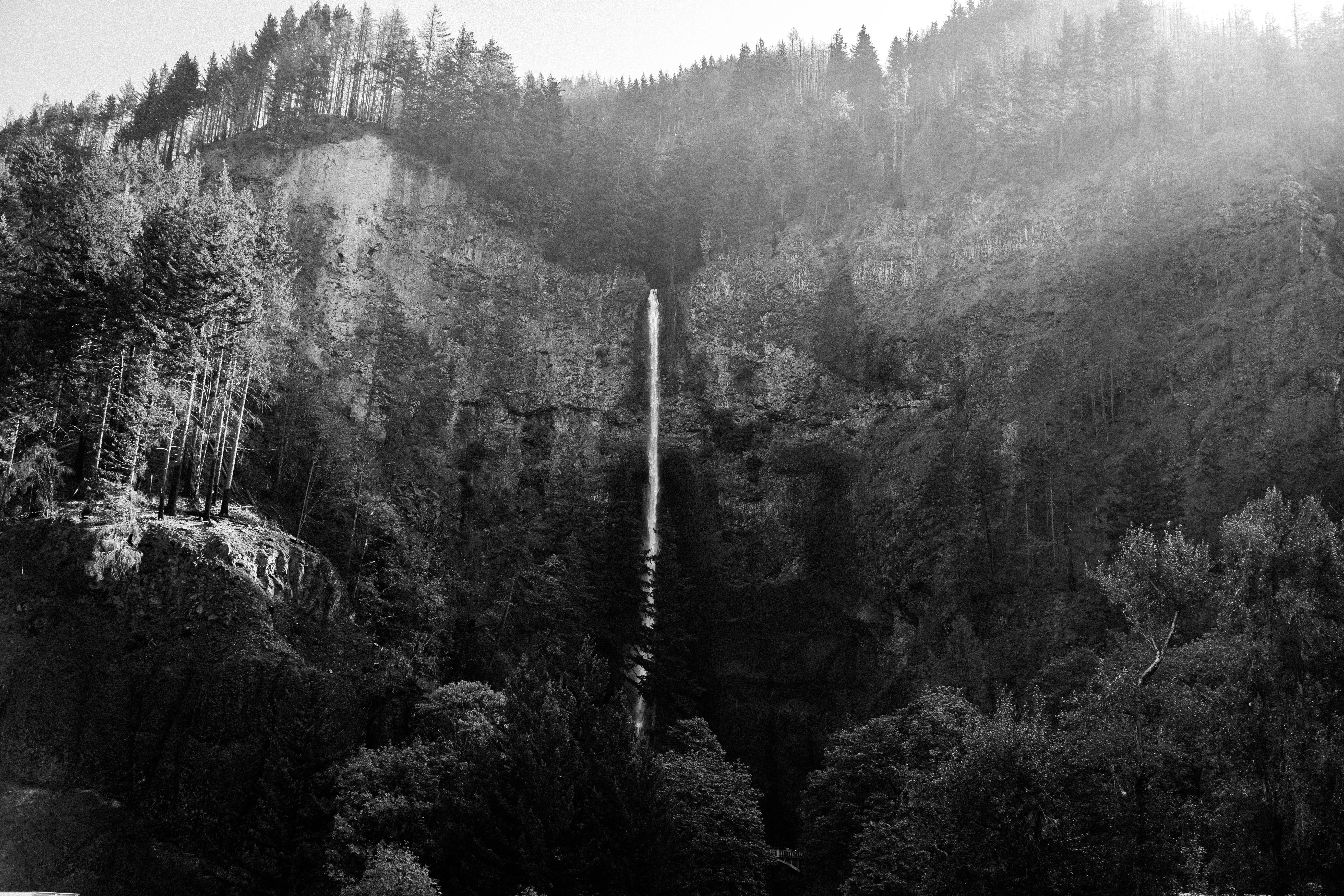 pine woodland, mountain, 8K, tranquil scene, environment, coniferous tree, non-urban scene, pacific northwest, plant, adventure, black and white, waterfall, HD Wallpaper