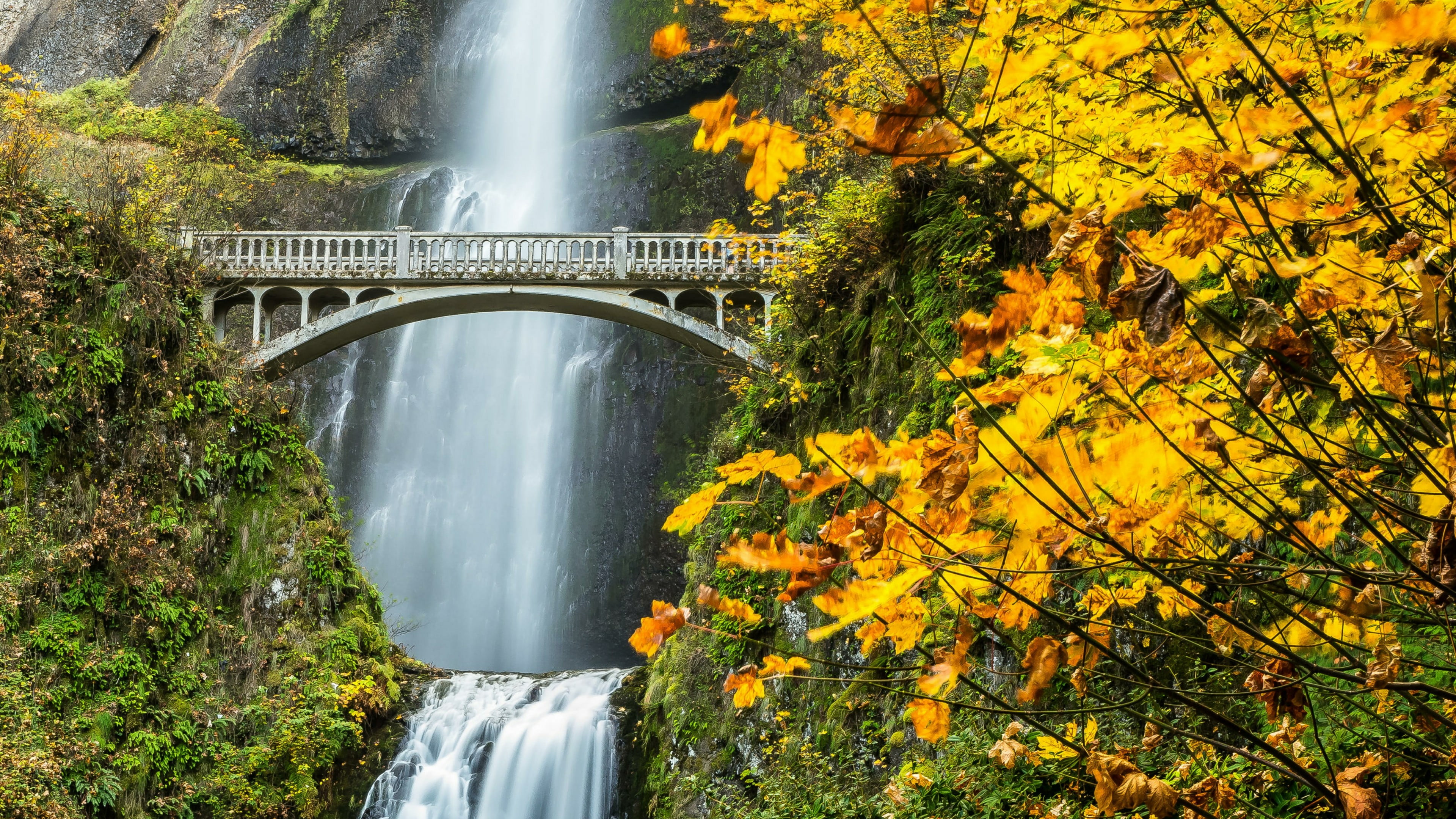 scenics - nature, no people, oregon, united states, multnomah falls, plant, landscape, columbia river, autumn, architecture, yellow leaves, bridge - man made structure, HD Wallpaper