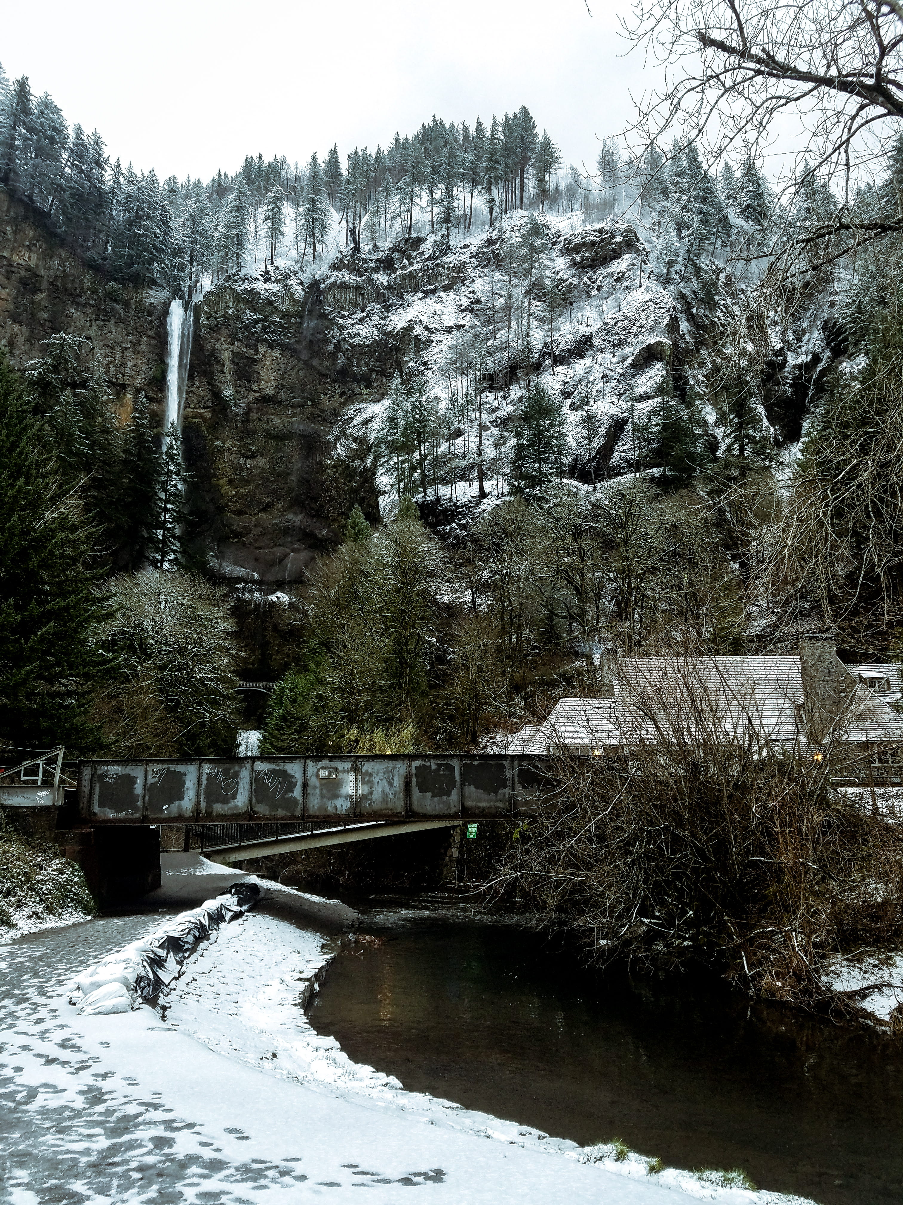 water, flowing, tree, multnomah falls, mountain, cold temperature, waterfall, forest, bridge - man made structure, scenics - nature, outdoors, connection, Phone HD Wallpaper
