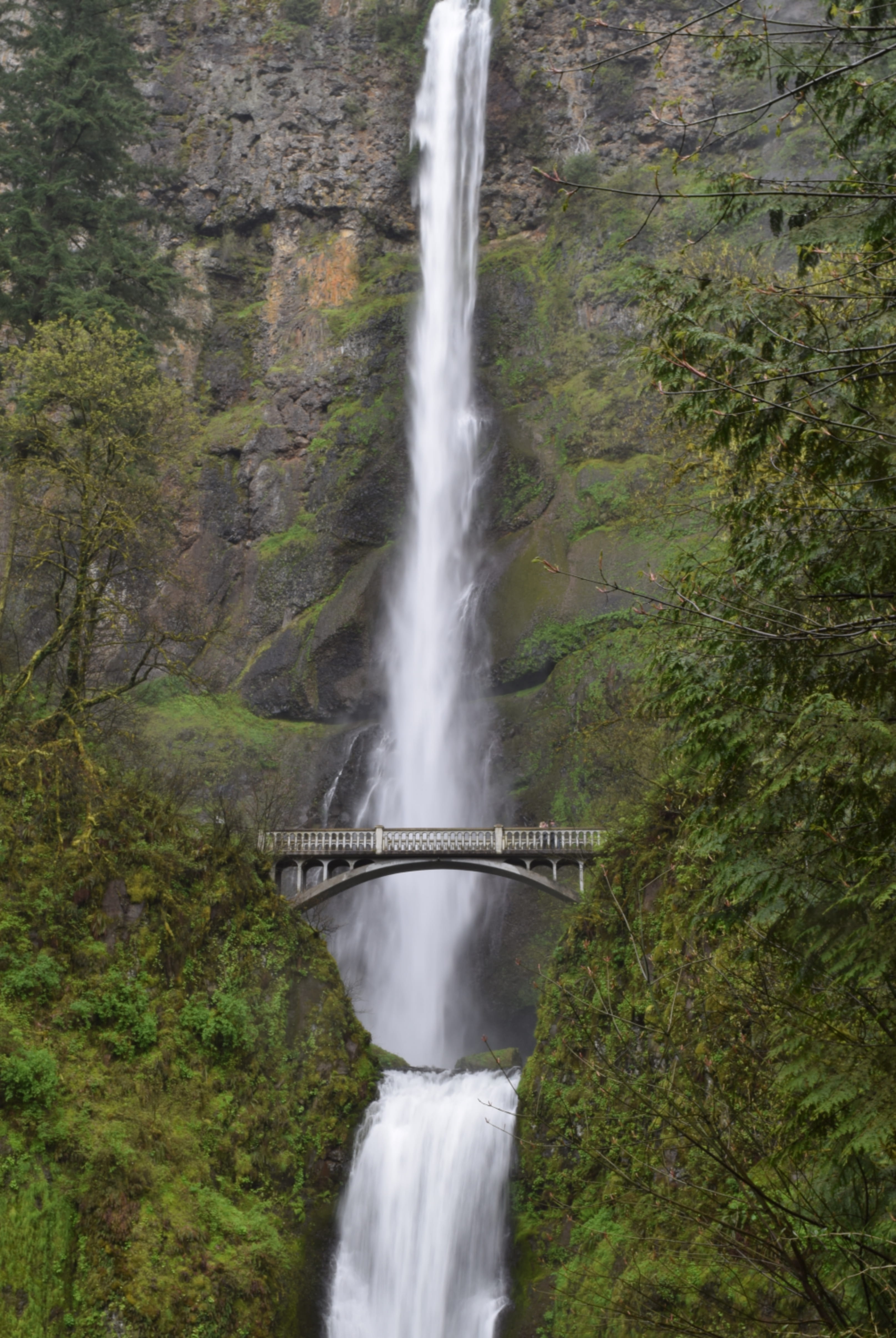 sky, scenics - nature, blurred motion, multnomah falls, motion, bridge - man made structure, 4K, nature, connection, day, land, horizon, water, forest, Phone HD Wallpaper