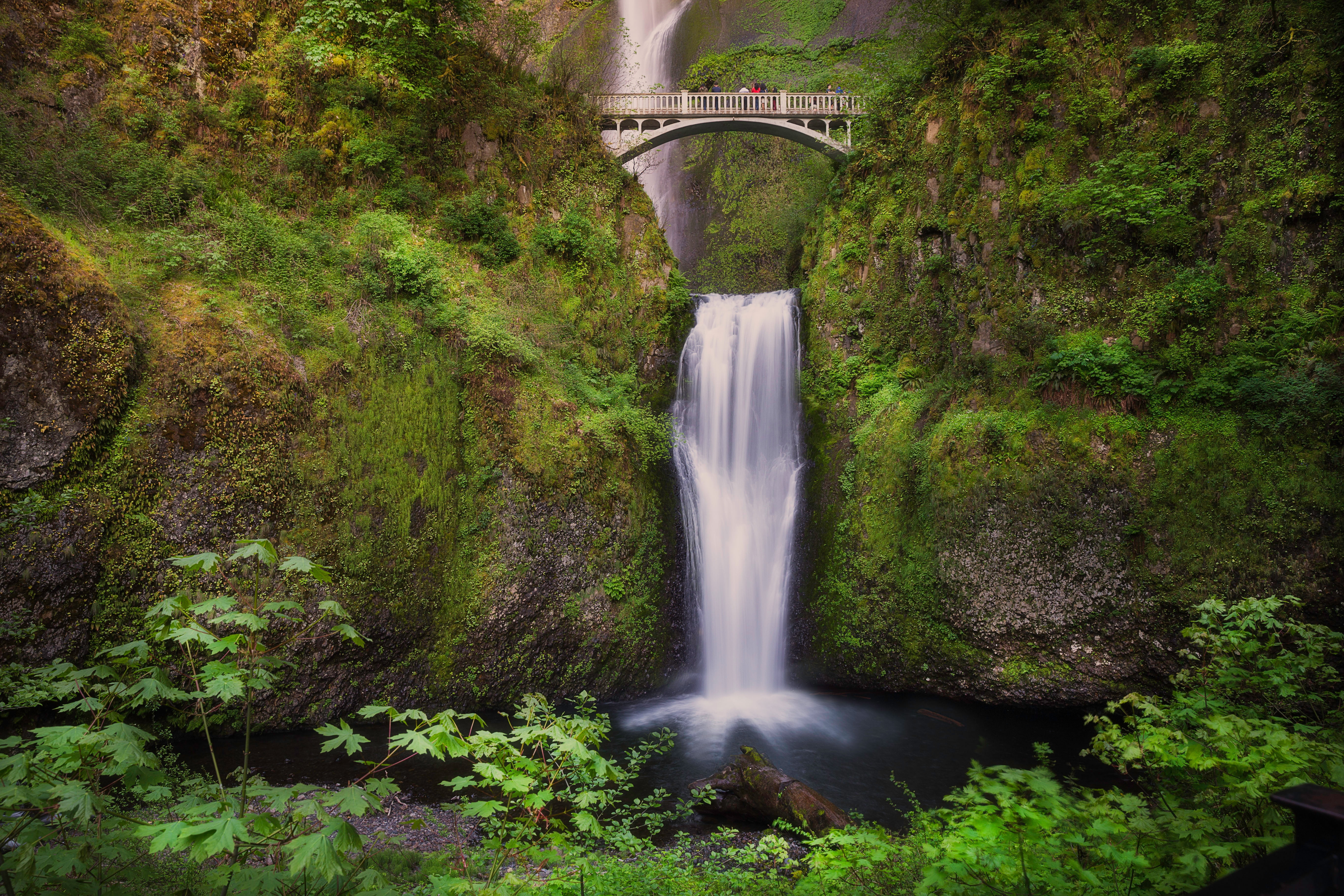 waterfall, Multnomah Falls, Columbia River Gorge, bridge, Benson Bridge, 5K, bridge Benson, the Multnomah falls, The Columbia river gorge, Oregon, HD Wallpaper
