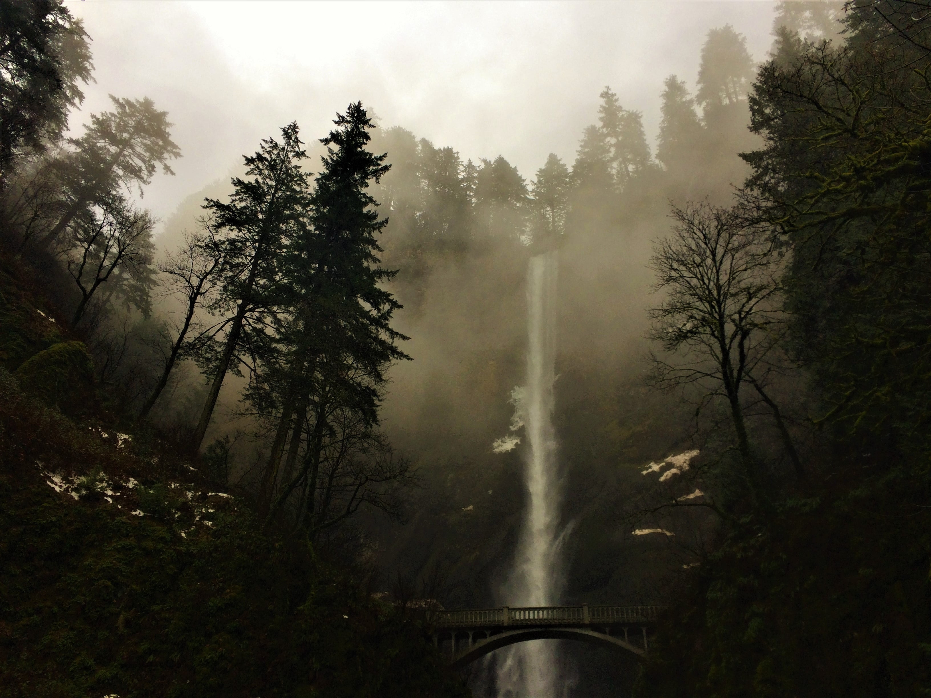 oregon, beauty in nature, forest, tranquil scene, waterfall, 2K, falls, environment, tree, river, no people, non-urban scene, scenics - nature, flowing water, HD Wallpaper