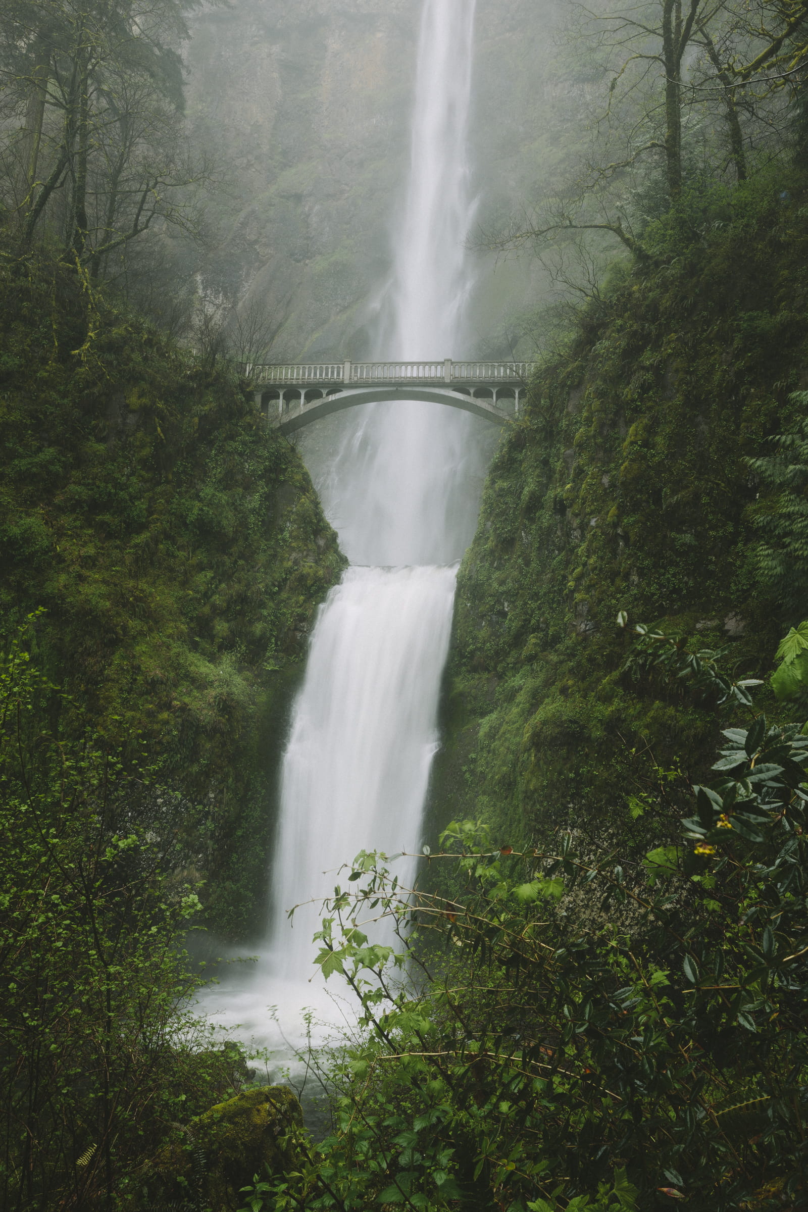 scenics - nature, plant, flowing water, bridge, day, environment, motion, rainforest, waterfall, connection, bridge - man made structure, beauty in nature, Phone HD Wallpaper