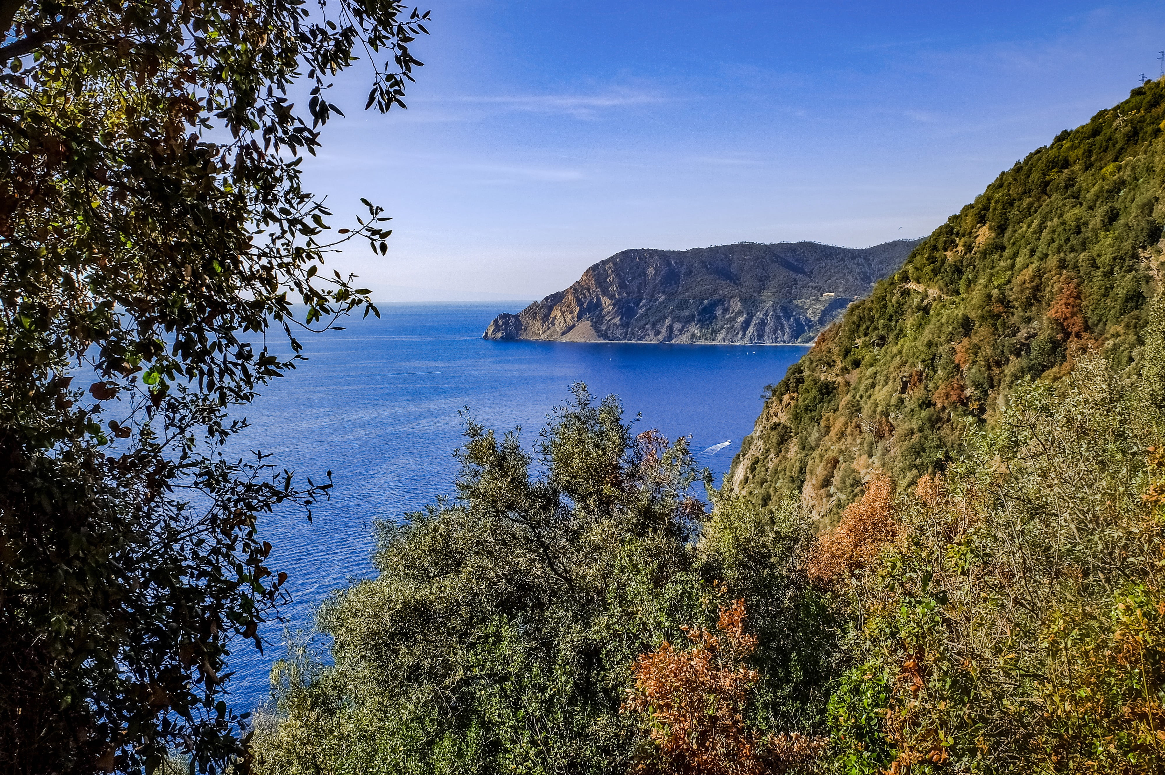 outdoors, mediterranean, idyllic, scenics - nature, coast, sky, italy, beauty in nature, cinque terre, growth, 4K, liguria, nature, plant, tranquility, HD Wallpaper