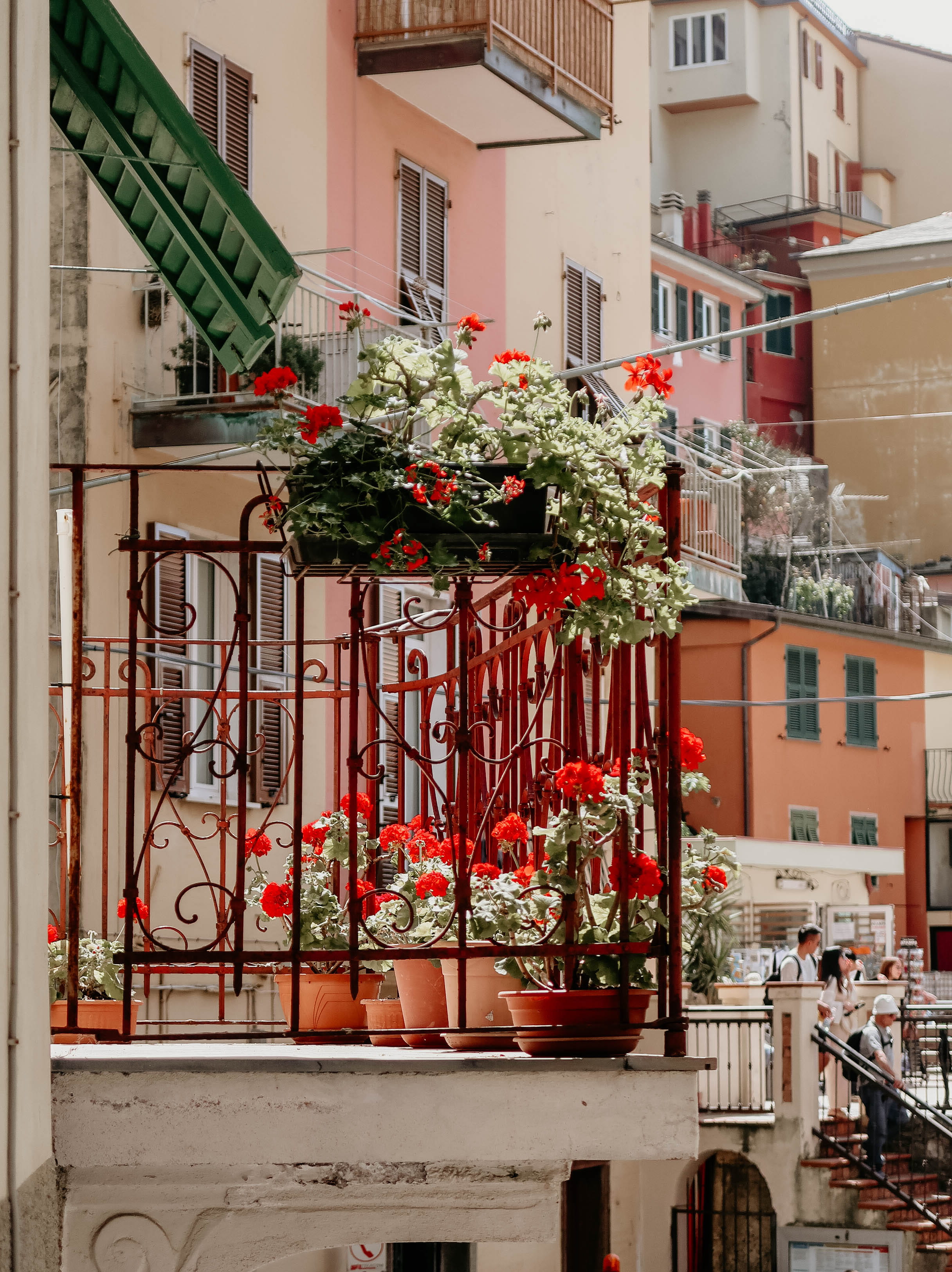 manarola, flower pot, freshness, window, day, flower arrangement, architecture, transportation, flower, window box, cinque terre, 2K, outdoors, flowering plant, Phone HD Wallpaper