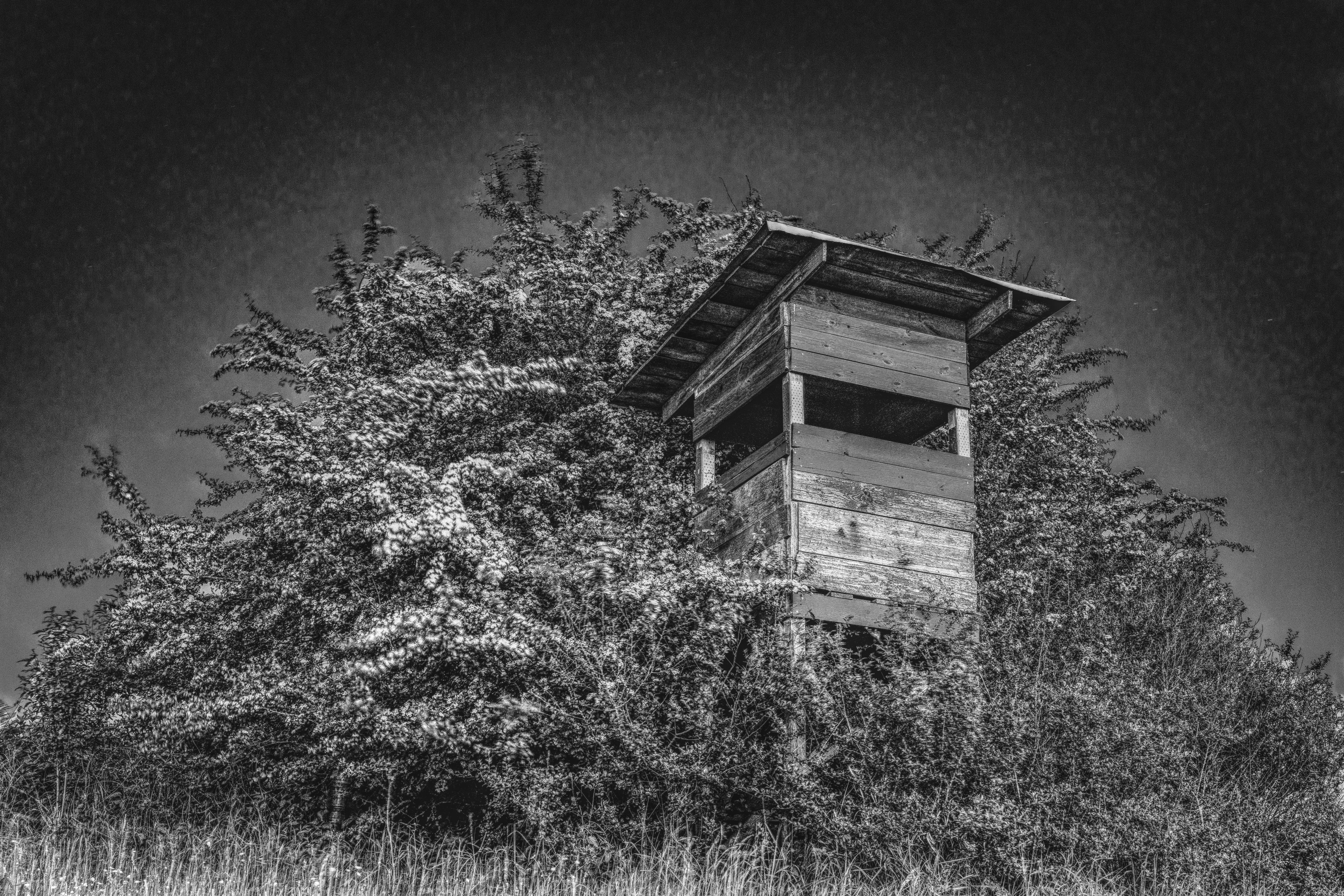 abandoned, hunter was, sky, lighting, loneliness, shrubs, black white, dark, mystical, growth, place of worship, mood, long exposure, meadow, clear sky, HD Wallpaper