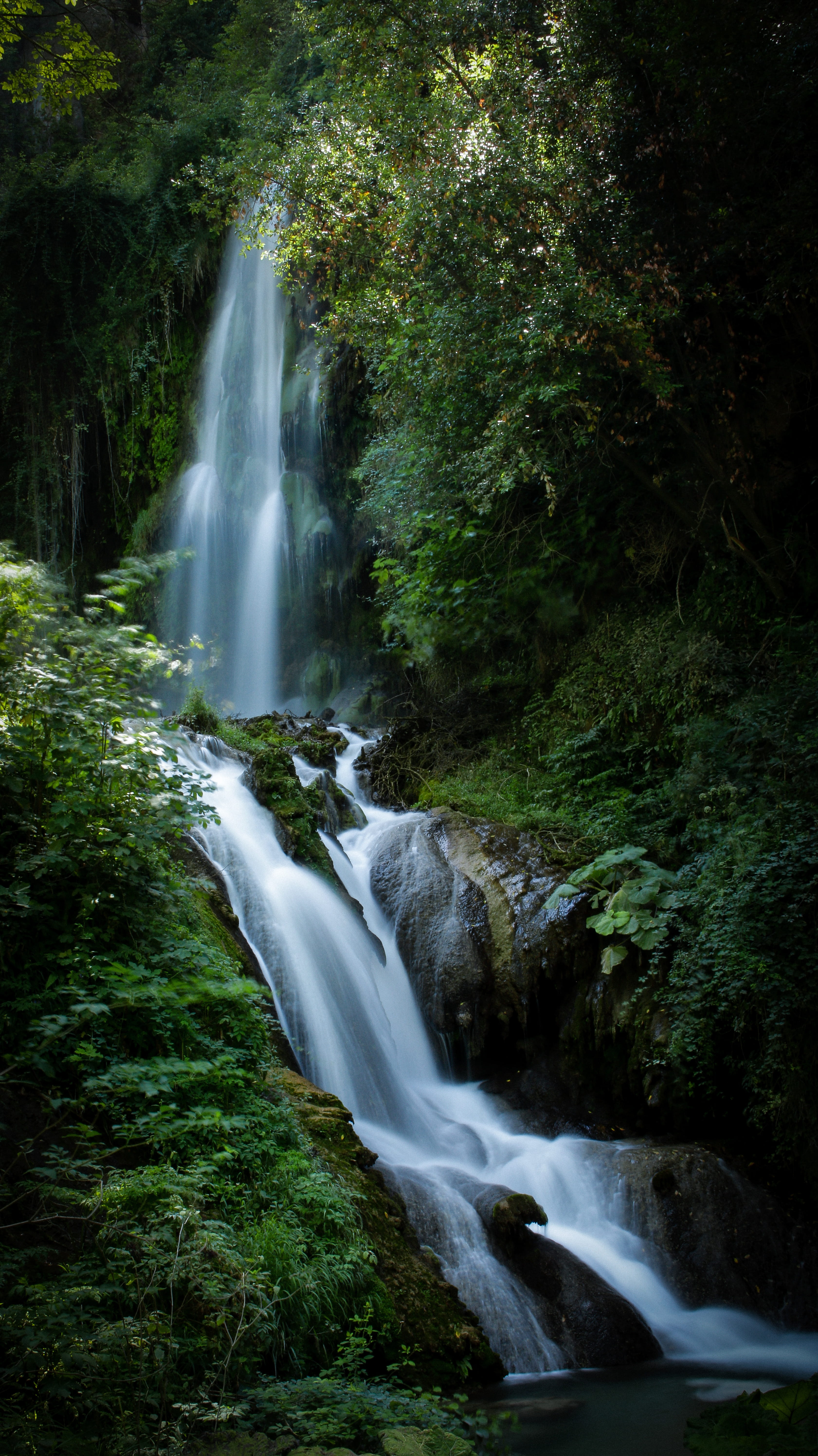 creek, forest, plant, vegetation, blurred motion, nature, rock, river, flowing, environment, long exposure, flowing water, 5K, scenics - nature, land, Phone HD Wallpaper