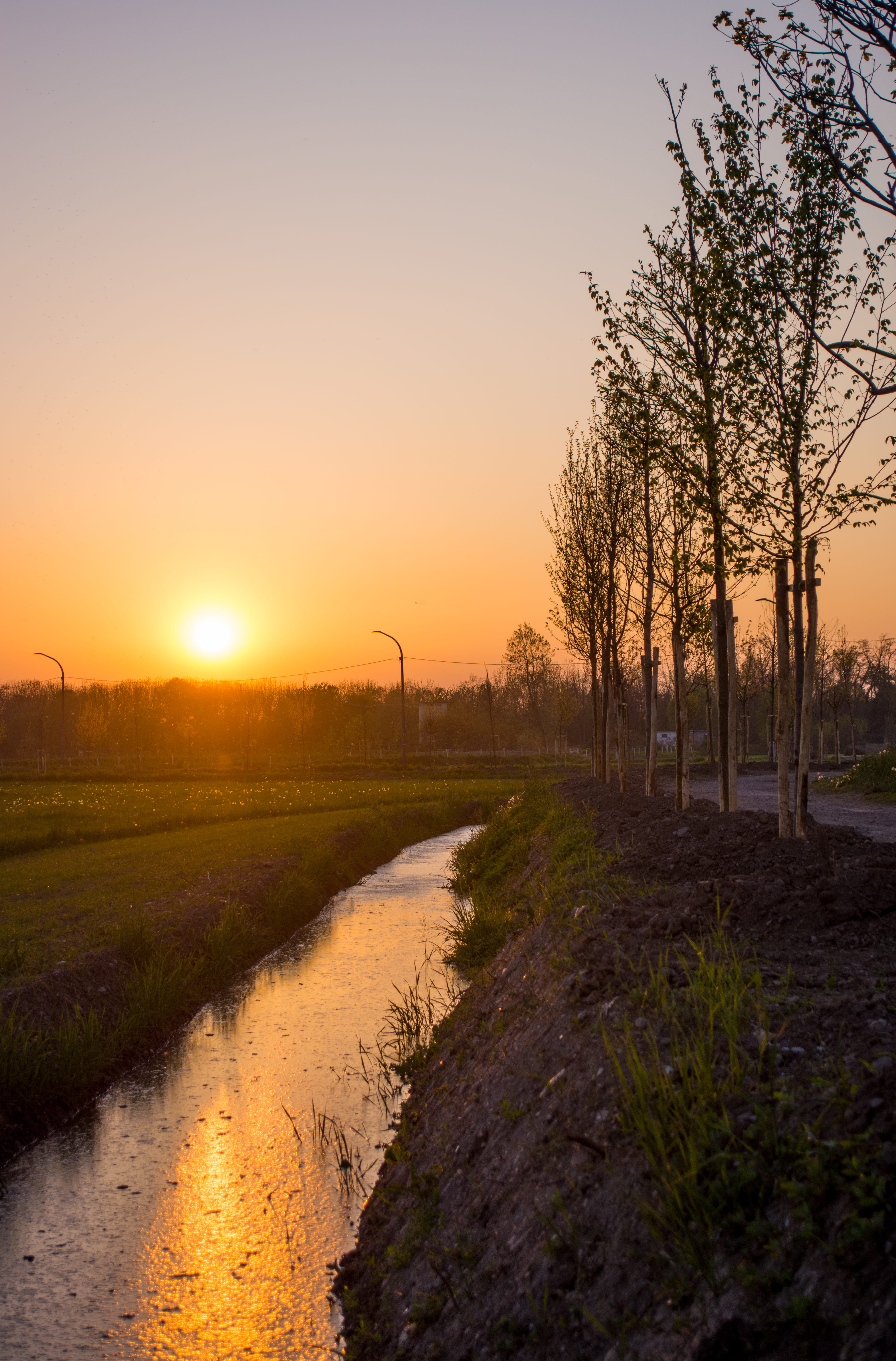 direction, environment, parco del basso olona, country, rho, field, sun, plant, orange color, lovely, scenics - nature, canal, 5K, sunset, the way forward, Phone HD Wallpaper