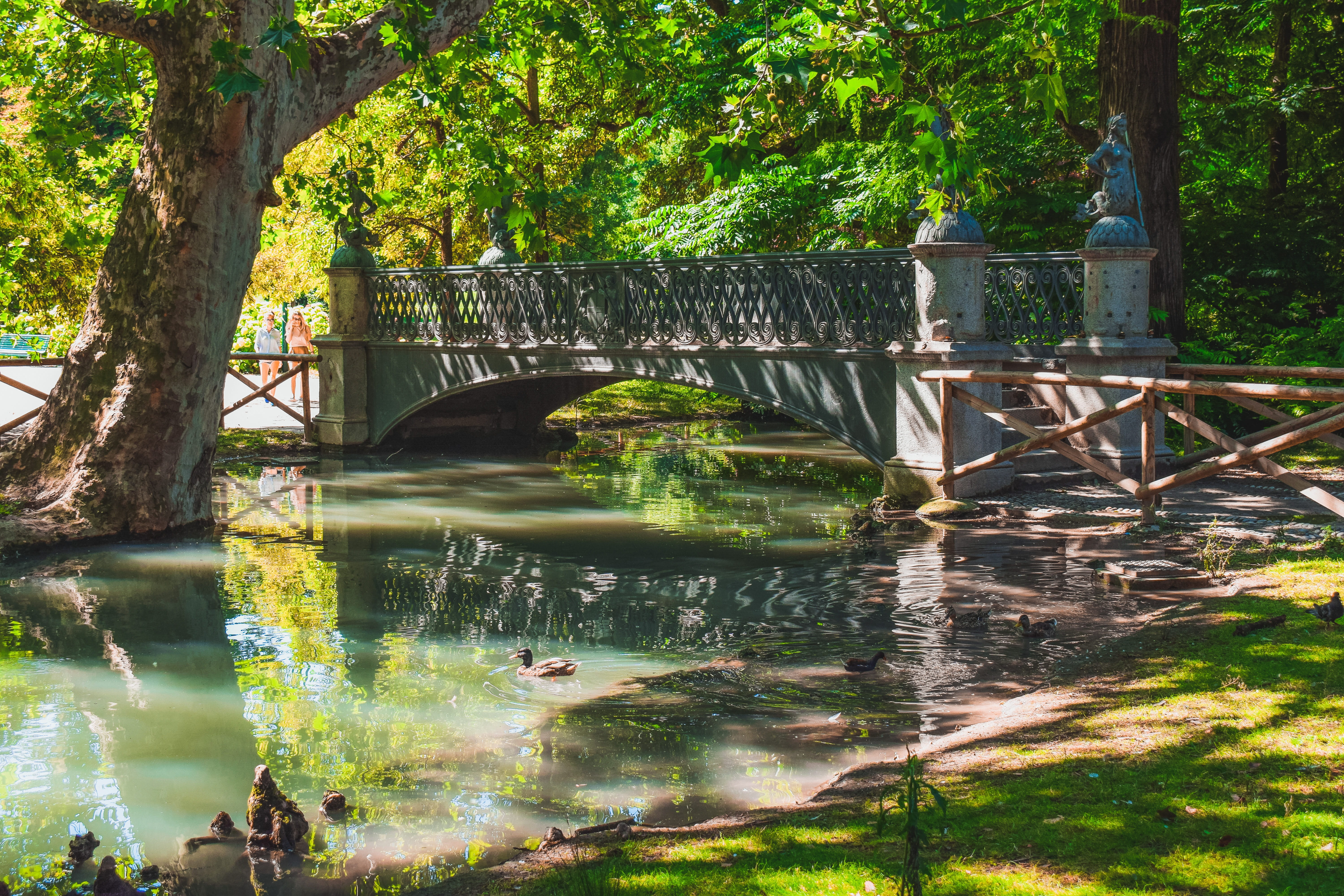 lake, connection, trees, park, reflection, pond, morning, bridge - man made structure, tranquility, no people, milano, 5K, landscape, outdoors, scenic, HD Wallpaper