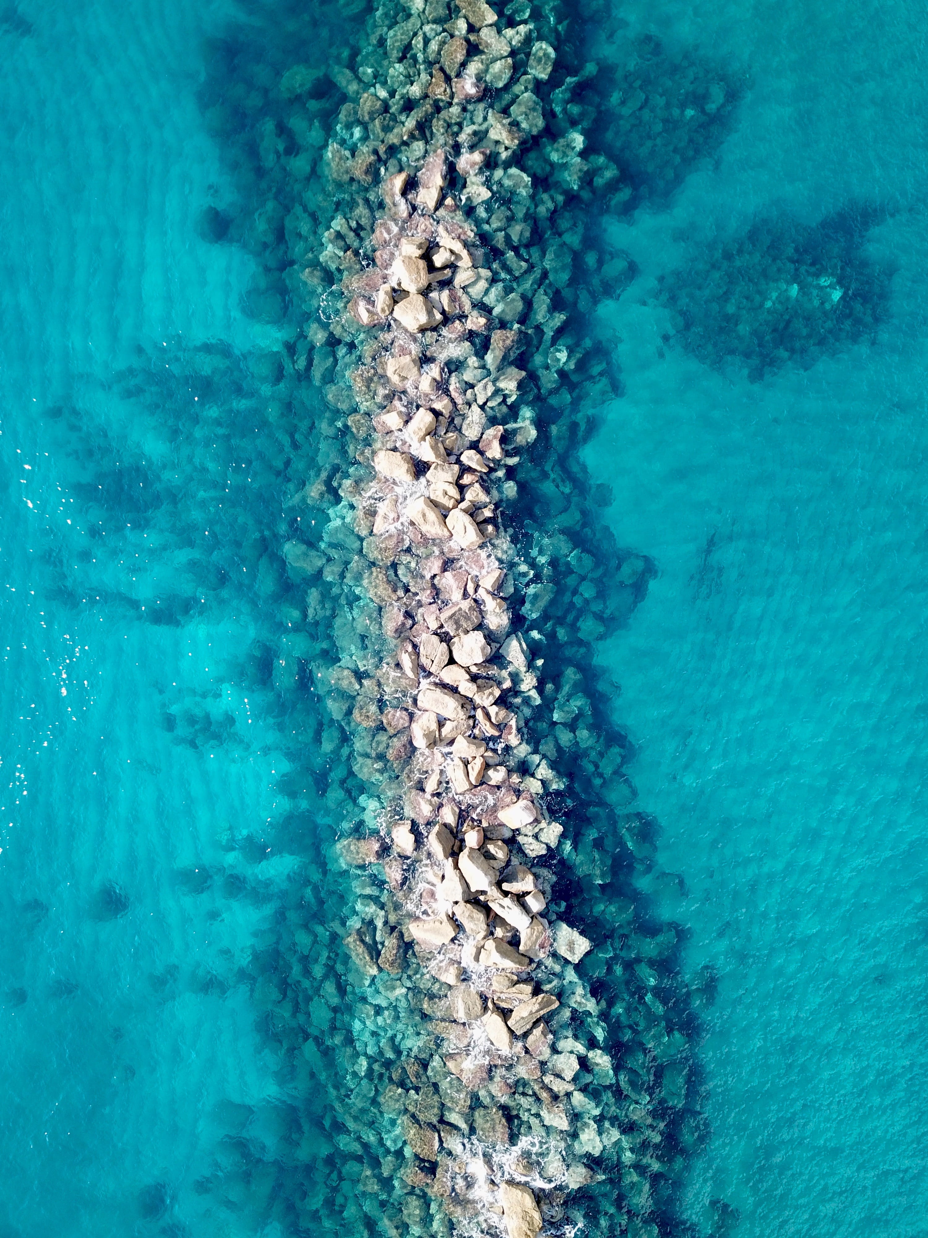 water, undersea, animal wildlife, rock, cinque terre, blue, pure, wafe, animal themes, underwater, ligurium, swimming pool, transparent, clean, outdoors, Phone HD Wallpaper
