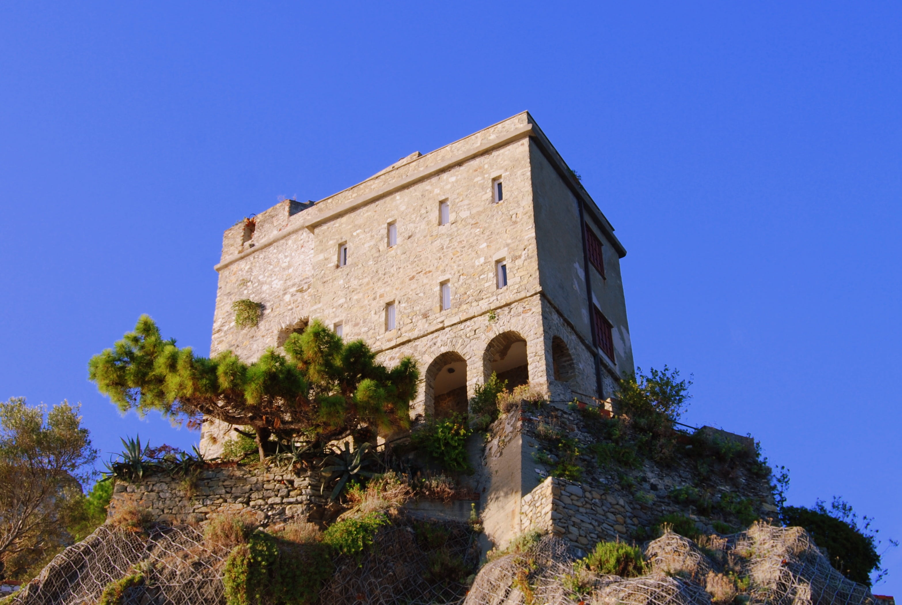 nature, day, castle, no people, travel, the past, bushes, clear sky, rock, wall, built structure, low angle view, plant, history, cliff, building, travel destinations, HD Wallpaper