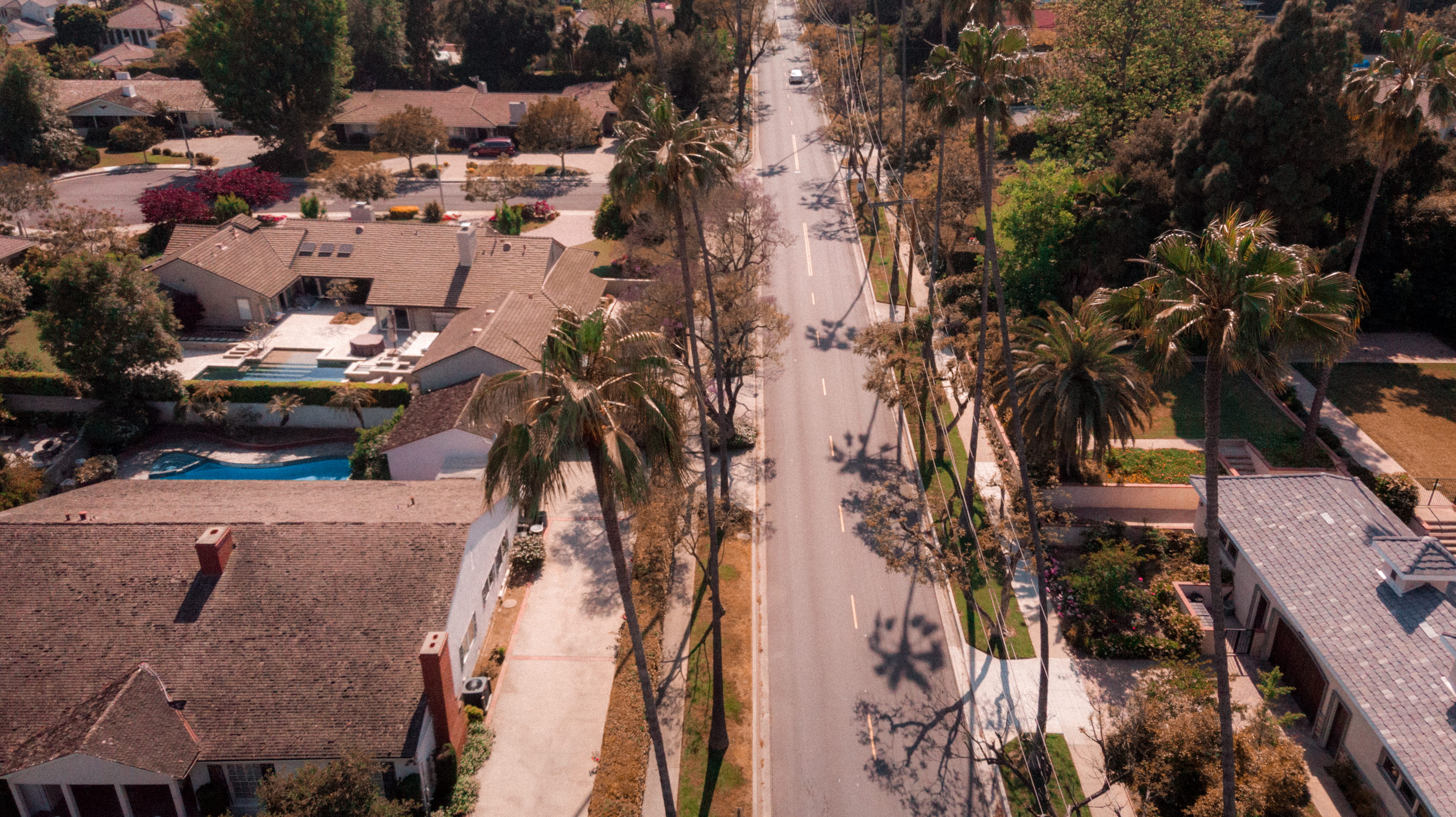 4K, arecaceae, transportation, urban, san marino, garden, water, nature, outdoors, road, day, built structure, city, summer, downtown, incidental people, HD Wallpaper