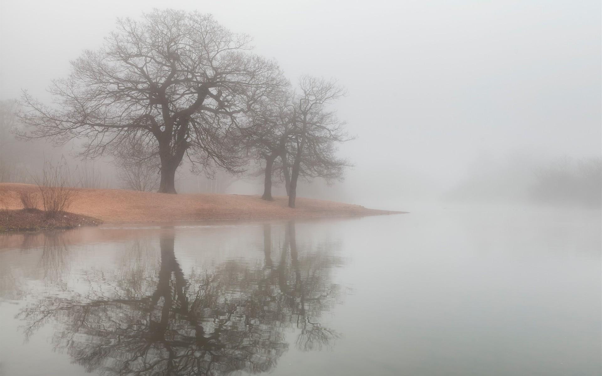 fog, nature and landscapes, trees, shore, wondrous, river, 1080P, HD Wallpaper