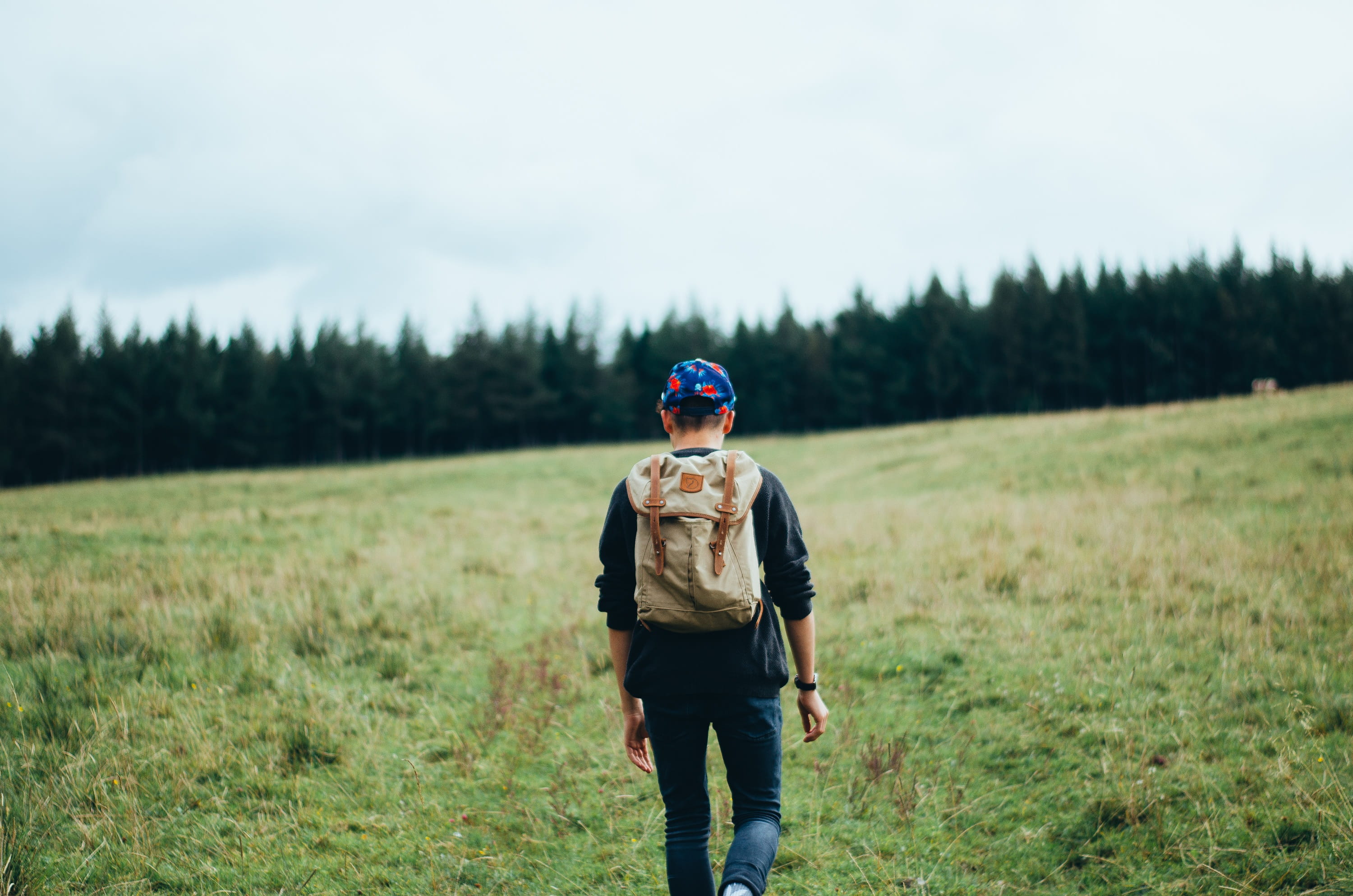 land, walk, nature, outdoors, growth, brown, hiker, sweater, outdoor, 2K, young, activity, standing, green grass, landscape, blue, trek, black, person, HD Wallpaper