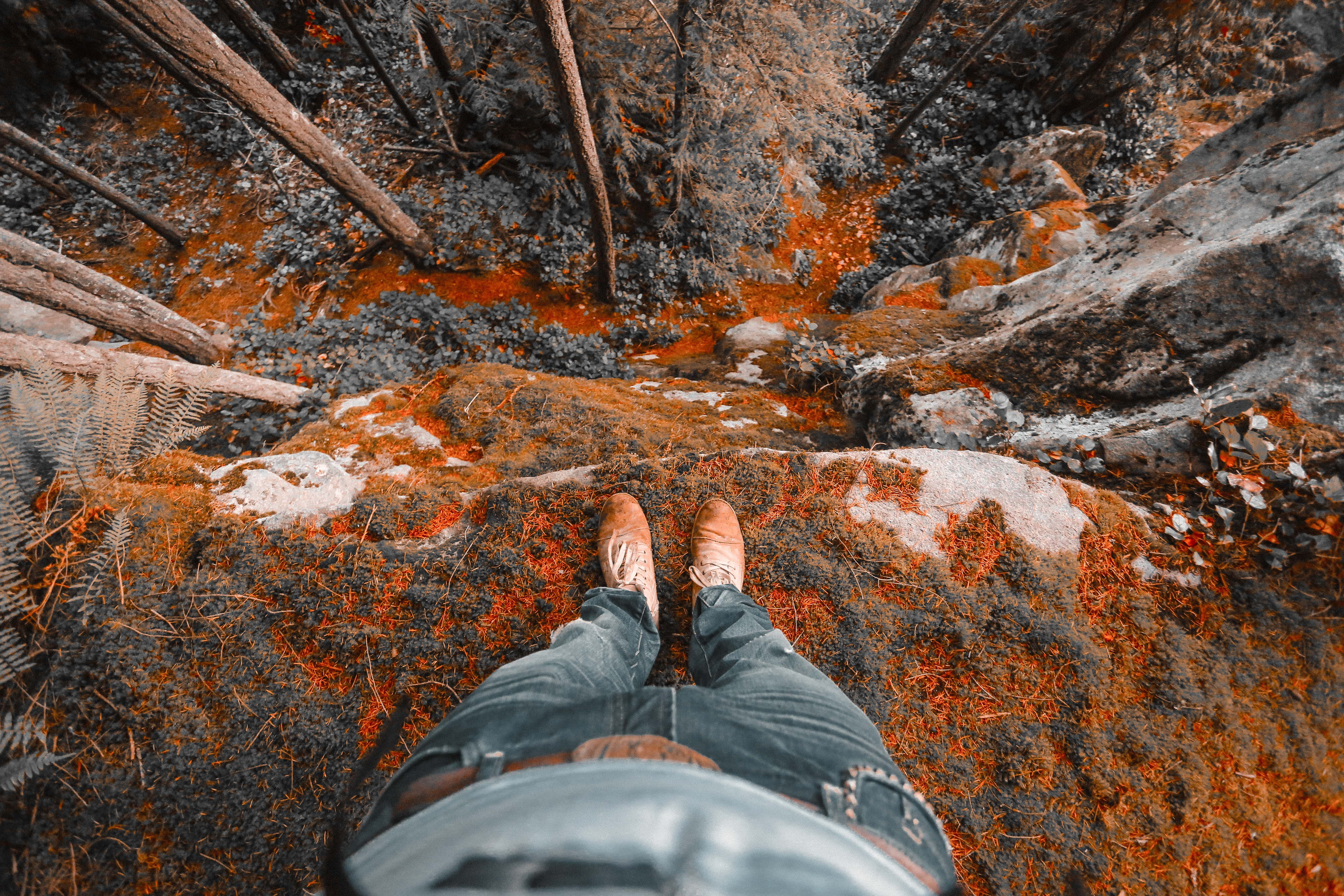 low section, standing, high angle view, body part, titn, trees, lifestyles, nature, human leg, grass, limb, cliff, denim, feet, near, leisure activity, HD Wallpaper