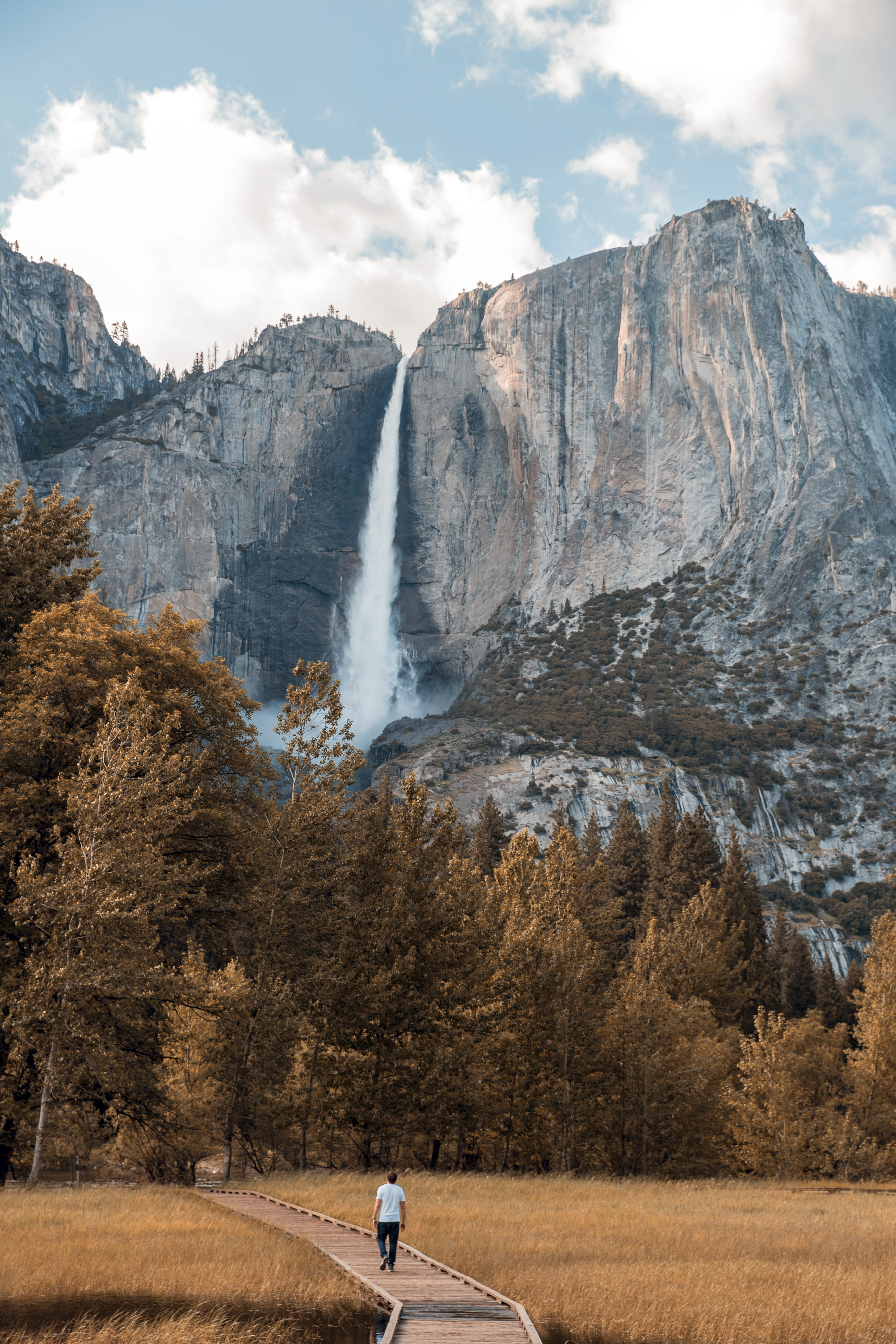 remote, plant, path, tranquil scene, adventure, travel destinations, mountain range, leisure activity, pathway, grass, non-urban scene, mountain, forest, Phone HD Wallpaper