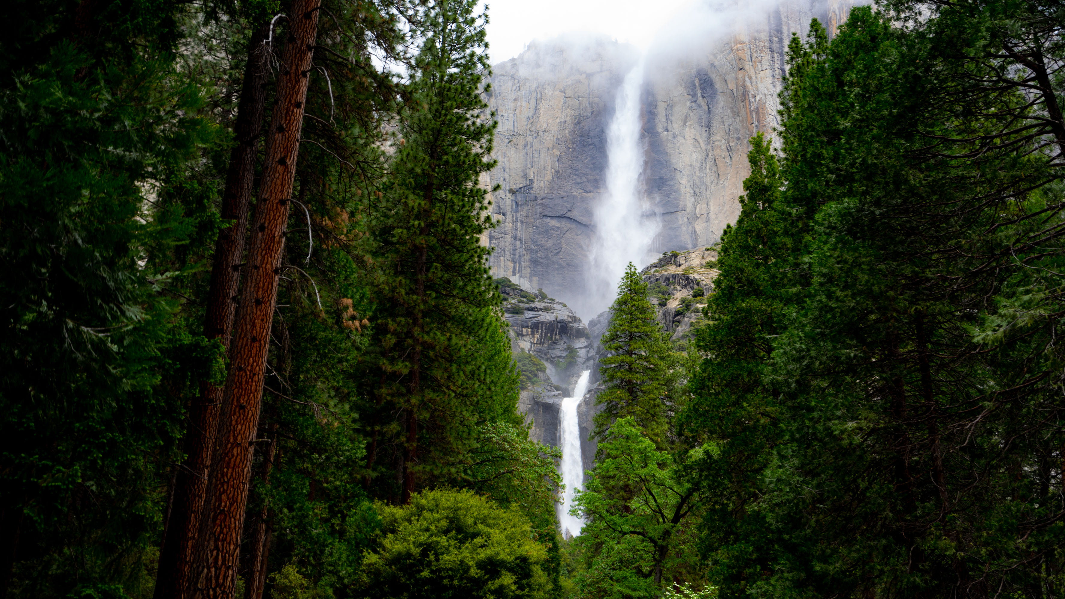 green Color, hiking, tree, scenics, woodland, water, outdoor, freshness, trees, trail, forest, waterfall, view, yosemite, green, 2K, near, cliff, falls, HD Wallpaper