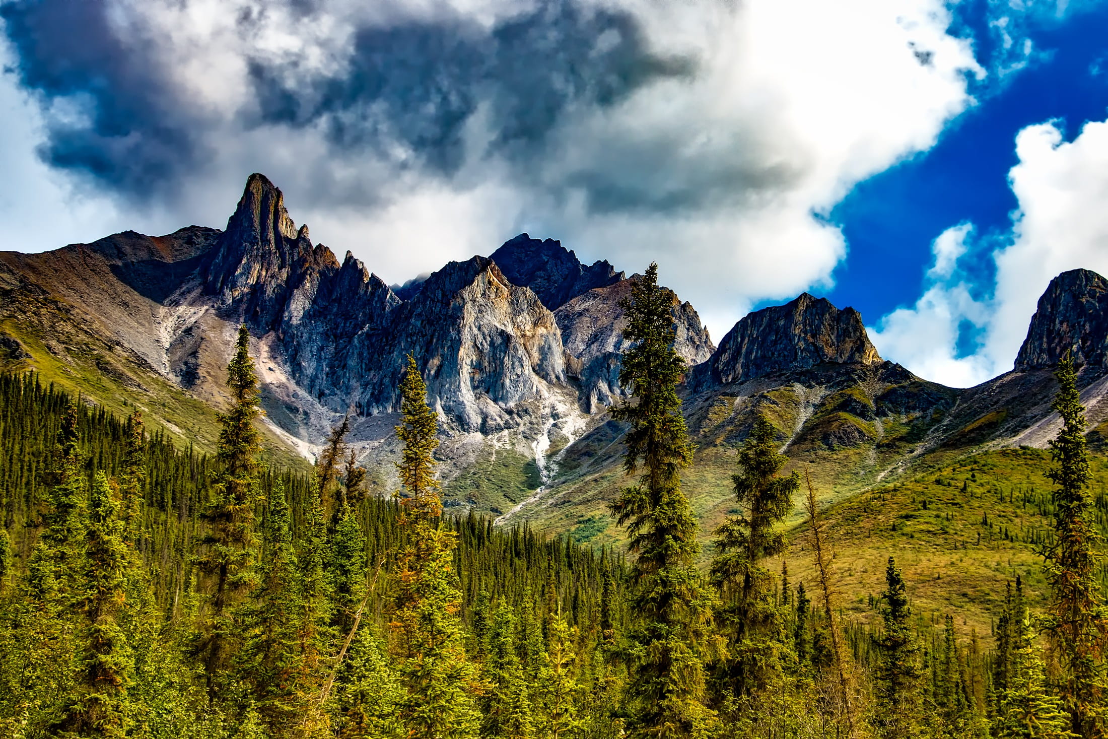 scenics - nature, woods, plant, pine tree, daytime, near, clouds, nature, tree, mountains, landscape, sky, national park, pine woodland, mountain range, HD Wallpaper