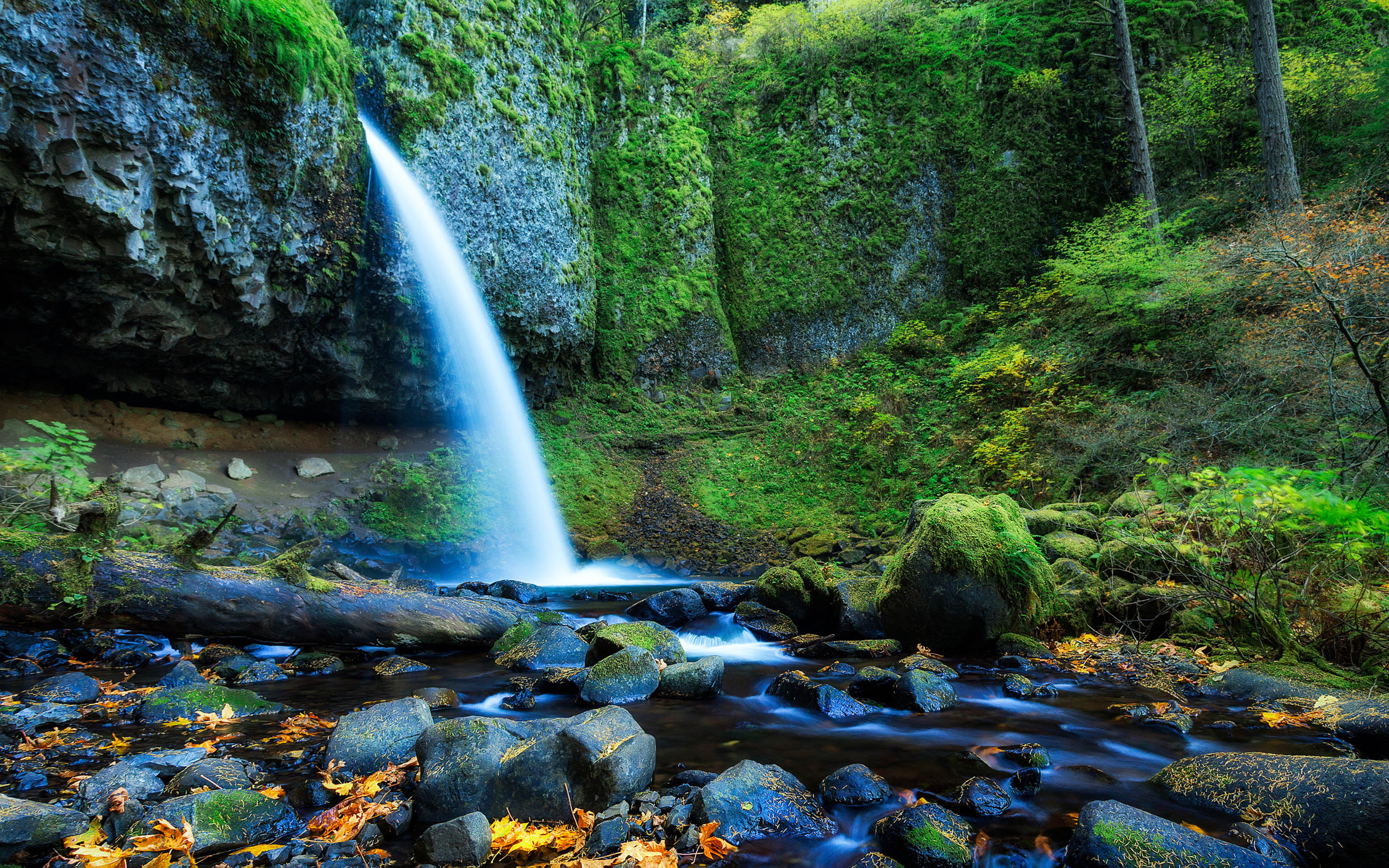 nature, land, rock, laptop, falling water, flowing water, growth, plant, ultra, desktop, long exposure, outdoors, rock - object, beauty in nature, hd, ponytail, HD Wallpaper